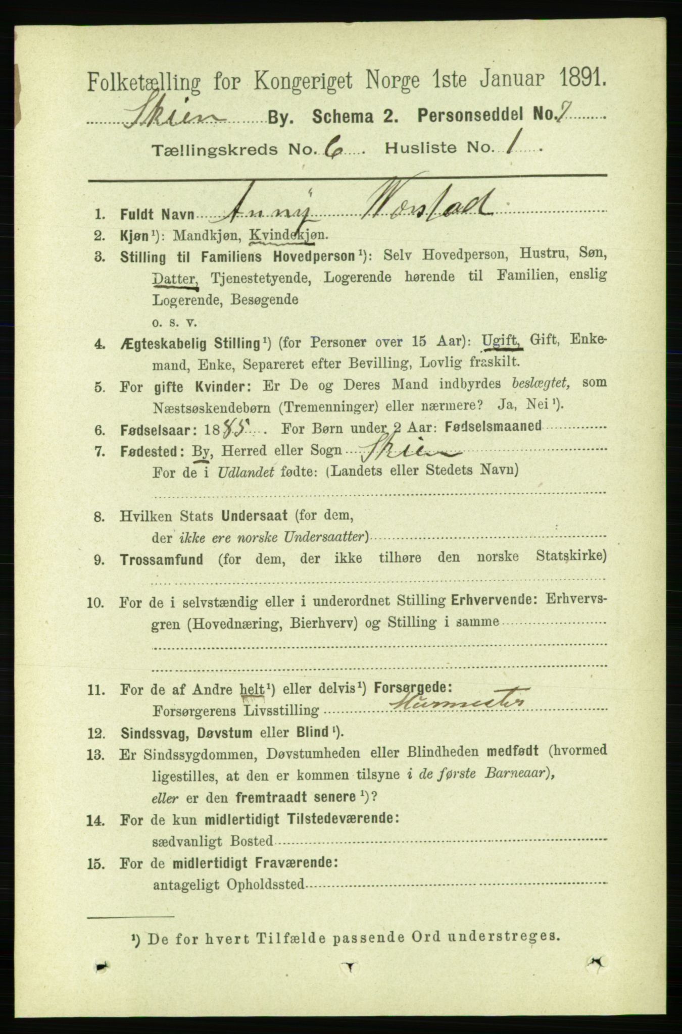 RA, 1891 census for 0806 Skien, 1891, p. 3000