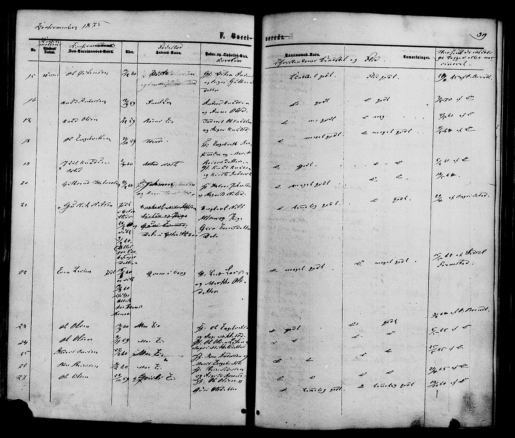 Vestre Slidre prestekontor, SAH/PREST-136/H/Ha/Haa/L0003: Parish register (official) no. 3, 1865-1880, p. 319