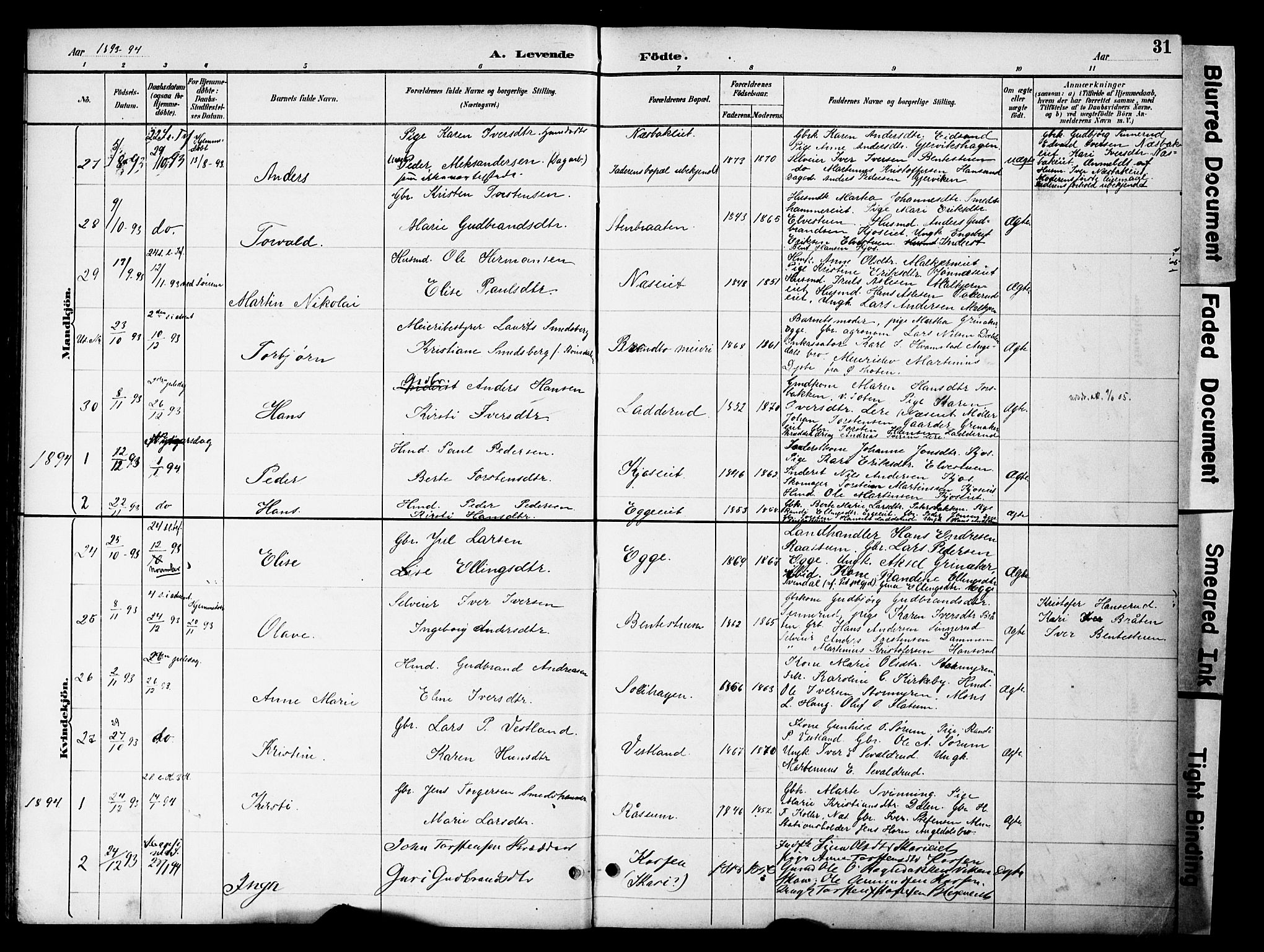 Gran prestekontor, SAH/PREST-112/H/Ha/Haa/L0020: Parish register (official) no. 20, 1889-1899, p. 31