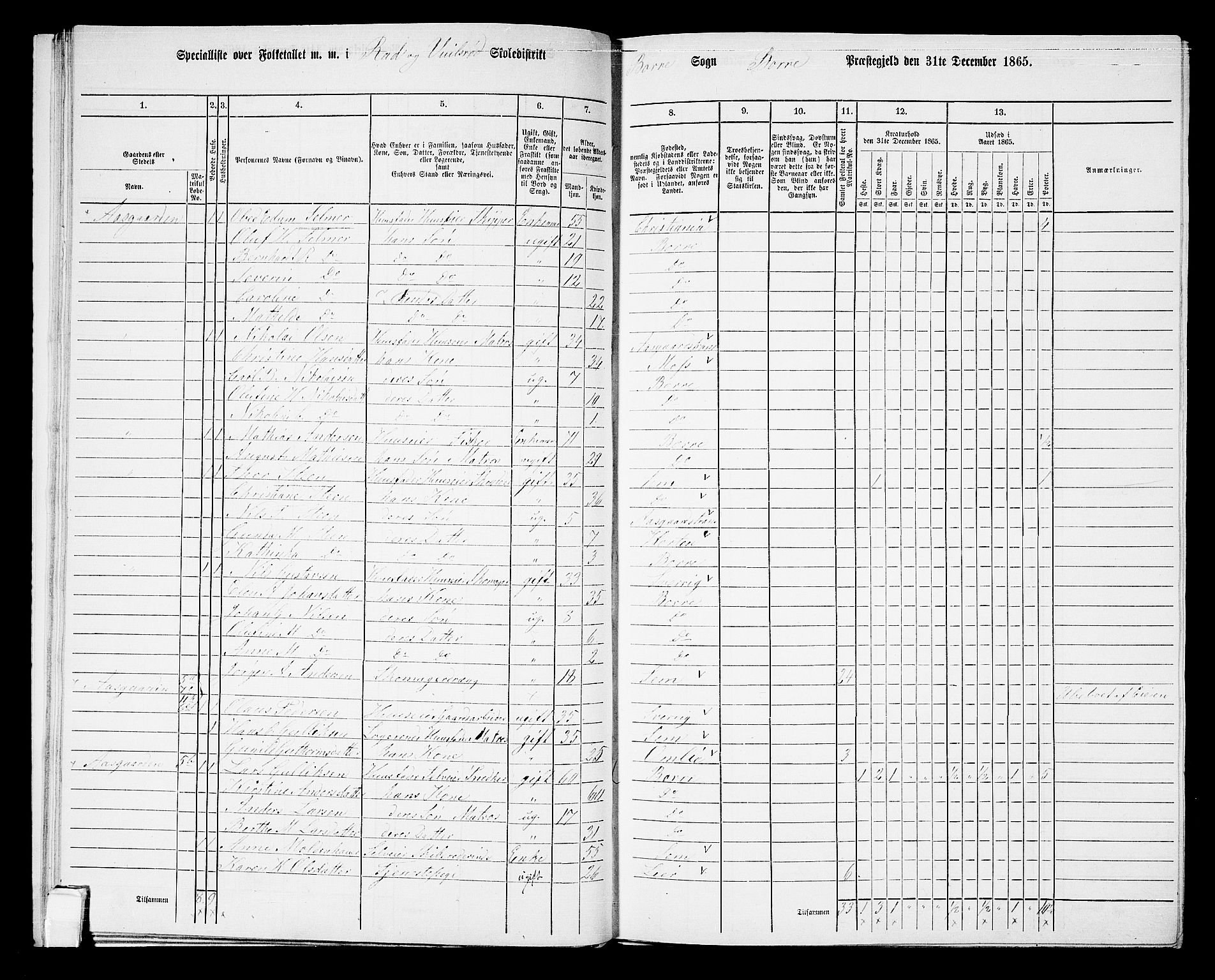 RA, 1865 census for Borre, 1865, p. 42