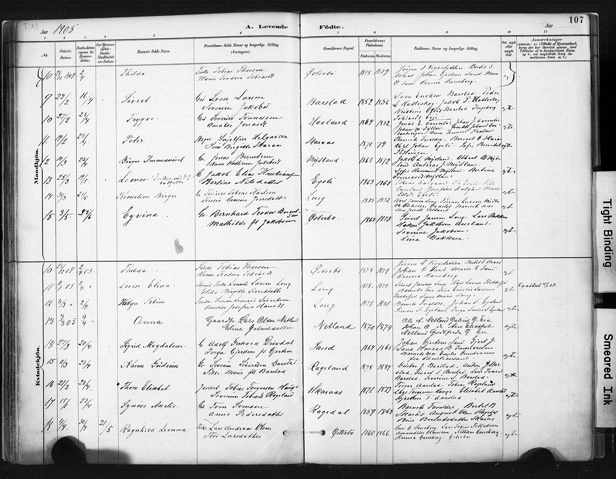 Sokndal sokneprestkontor, AV/SAST-A-101808: Parish register (official) no. A 11.1, 1887-1905, p. 107