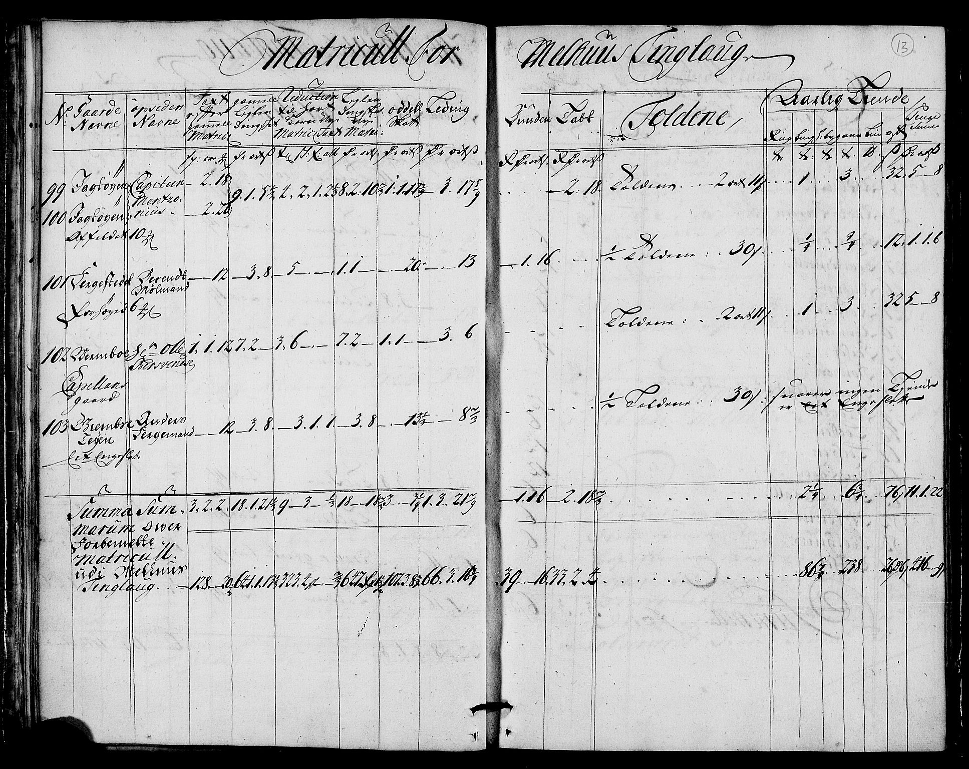 Rentekammeret inntil 1814, Realistisk ordnet avdeling, AV/RA-EA-4070/N/Nb/Nbf/L0159: Gauldal matrikkelprotokoll, 1723, p. 14