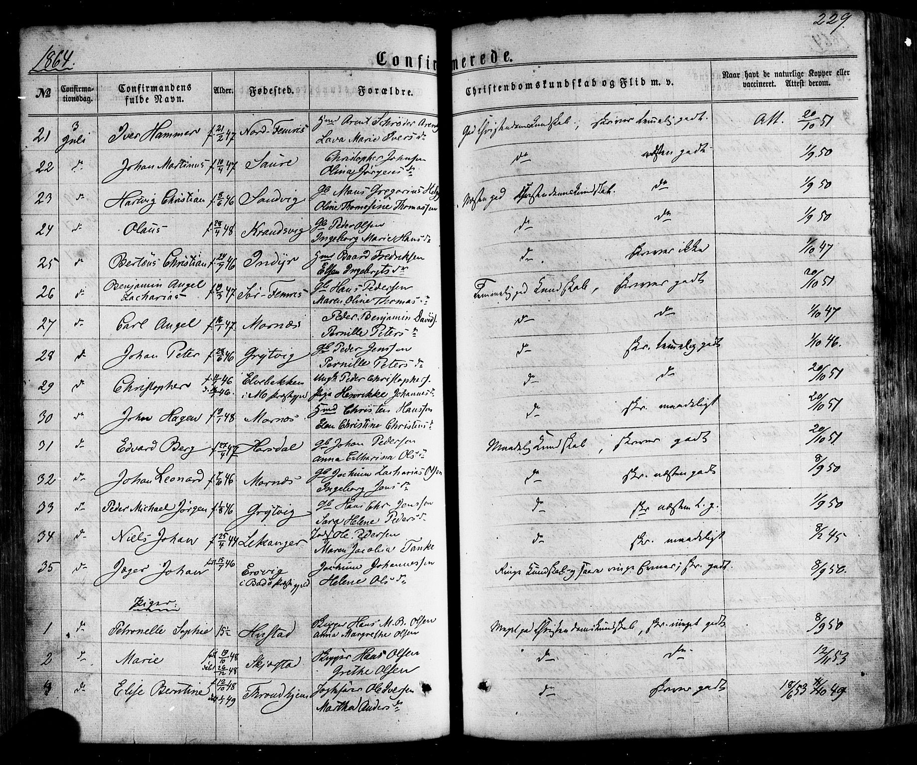 Ministerialprotokoller, klokkerbøker og fødselsregistre - Nordland, SAT/A-1459/805/L0098: Parish register (official) no. 805A05, 1862-1879, p. 229