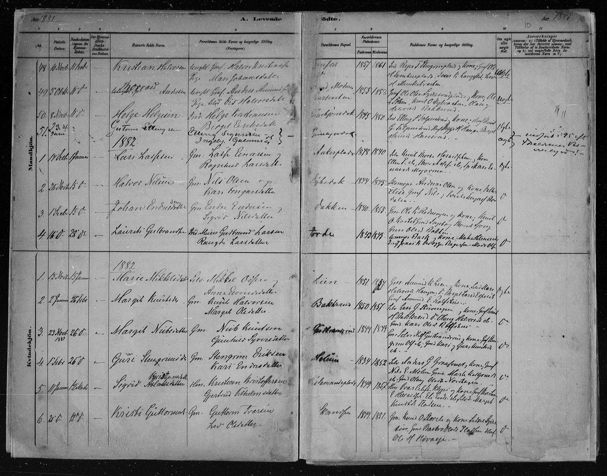 Nes kirkebøker, SAKO/A-236/F/Fa/L0011: Parish register (official) no. 11, 1881-1912, p. 10