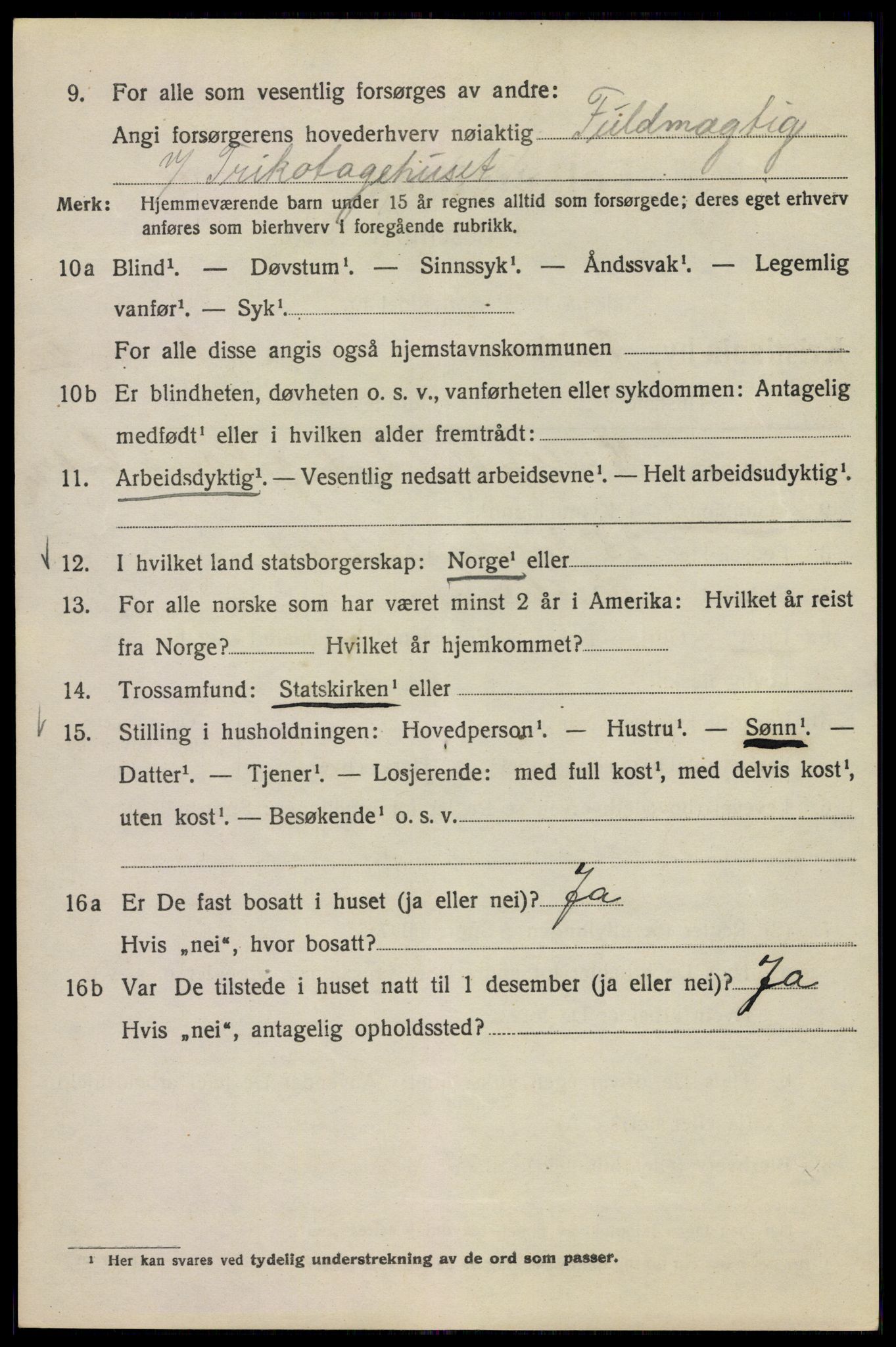 SAO, 1920 census for Kristiania, 1920, p. 554700