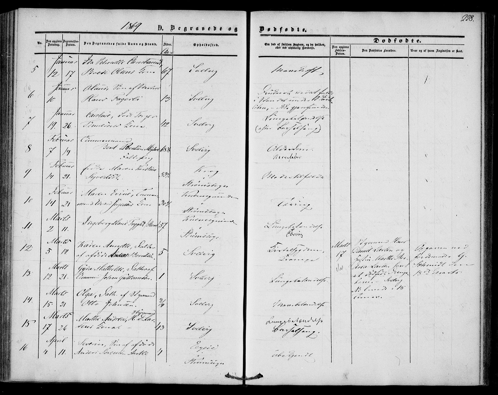 Strømm kirkebøker, AV/SAKO-A-322/F/Fa/L0001: Parish register (official) no. I 1, 1861-1869, p. 228