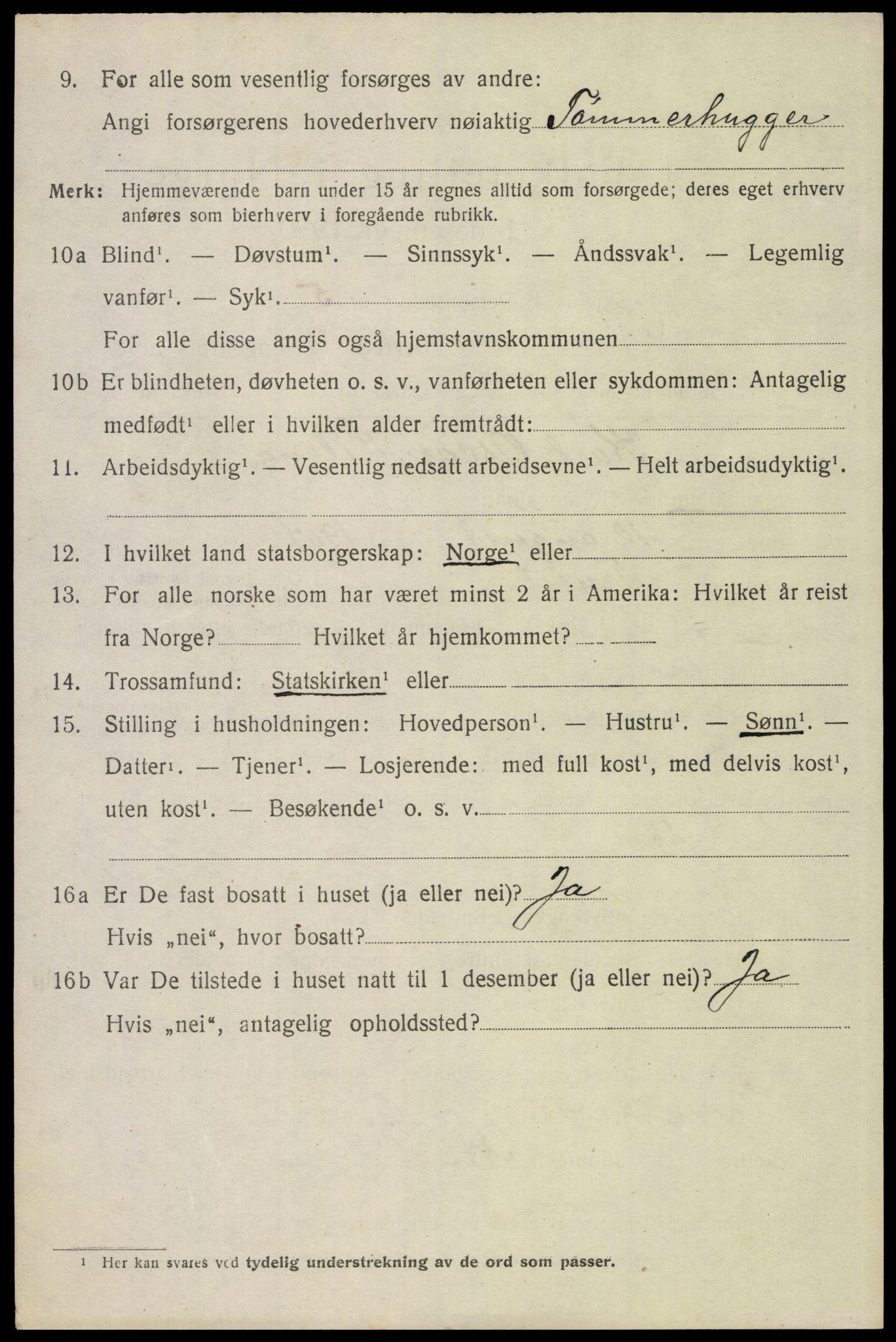 SAH, 1920 census for Trysil, 1920, p. 3066