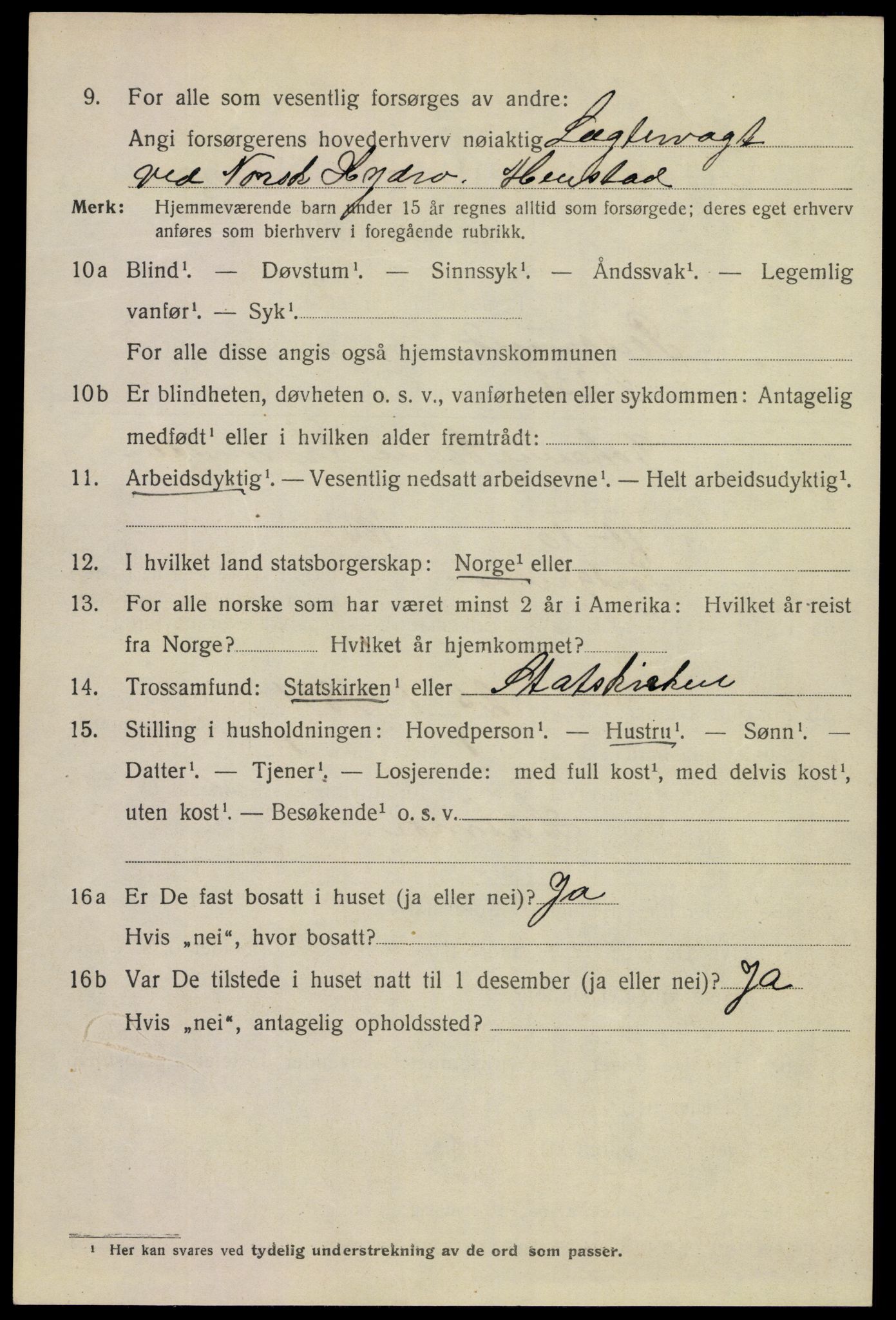 SAKO, 1920 census for Porsgrunn, 1920, p. 17366