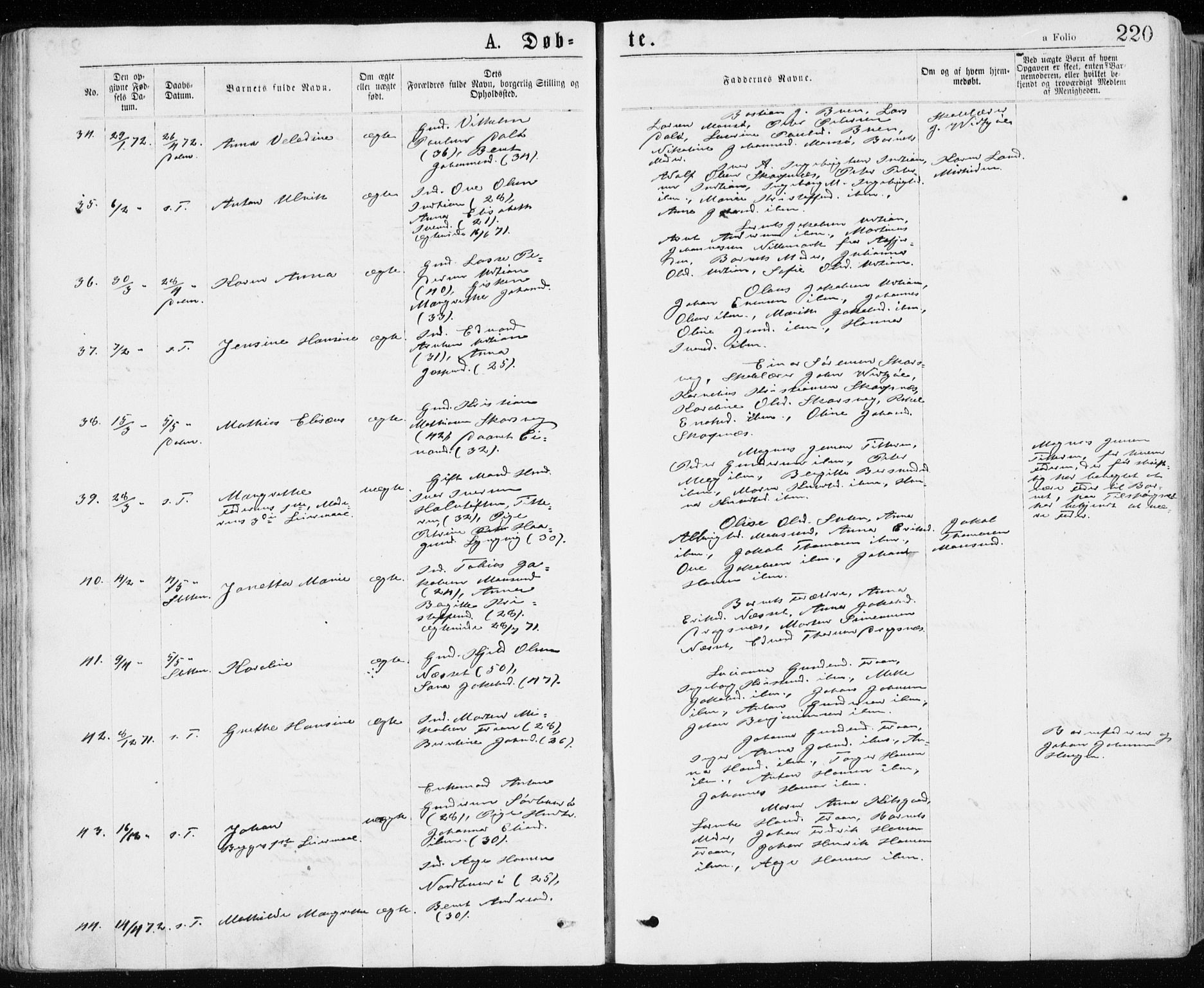 Ministerialprotokoller, klokkerbøker og fødselsregistre - Sør-Trøndelag, AV/SAT-A-1456/640/L0576: Parish register (official) no. 640A01, 1846-1876, p. 220