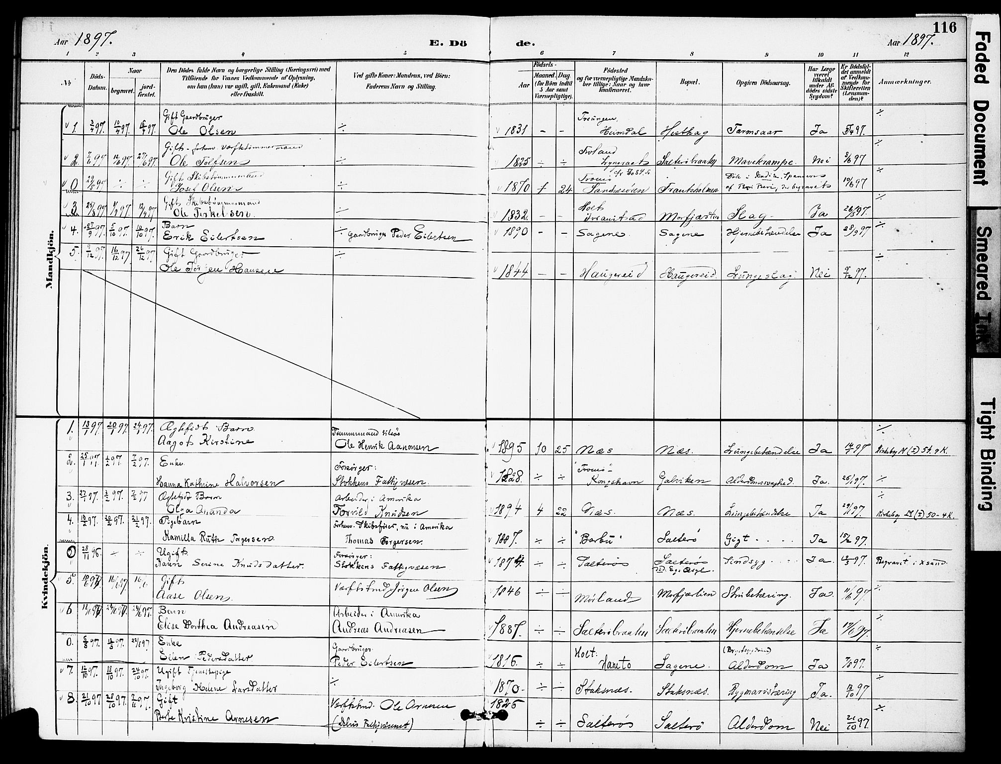 Austre Moland sokneprestkontor, AV/SAK-1111-0001/F/Fa/Fab/L0002: Parish register (official) no. A 2, 1894-1919, p. 116