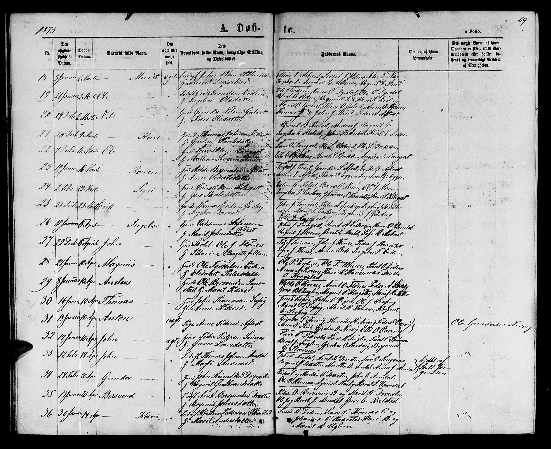 Ministerialprotokoller, klokkerbøker og fødselsregistre - Sør-Trøndelag, AV/SAT-A-1456/695/L1156: Parish register (copy) no. 695C07, 1869-1888, p. 29