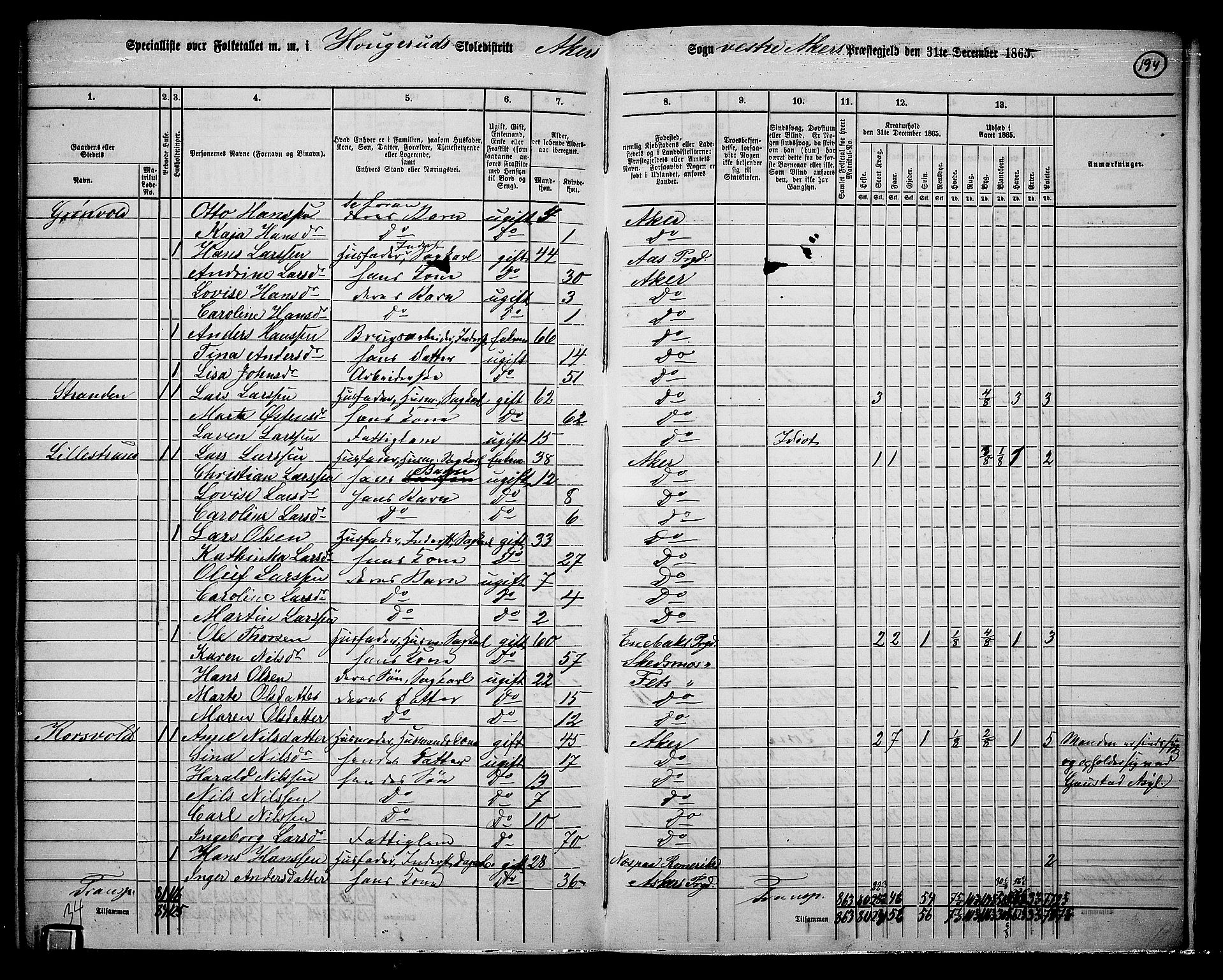 RA, 1865 census for Vestre Aker, 1865, p. 175