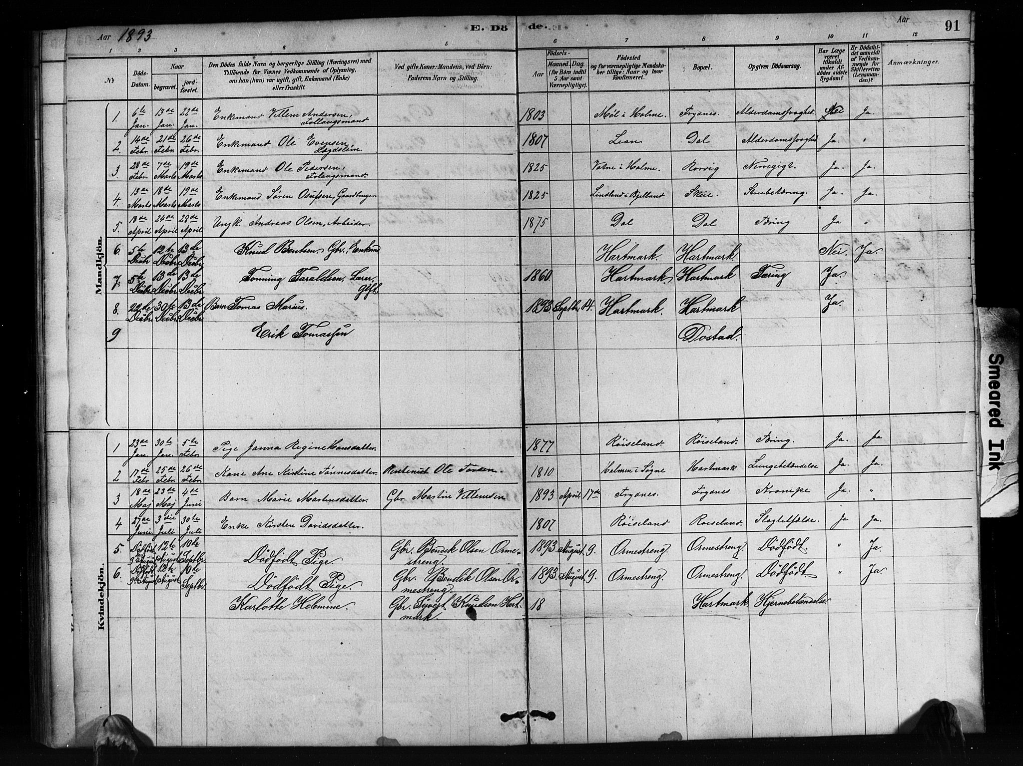 Mandal sokneprestkontor, SAK/1111-0030/F/Fb/Fbb/L0004: Parish register (copy) no. B 4, 1878-1913, p. 91