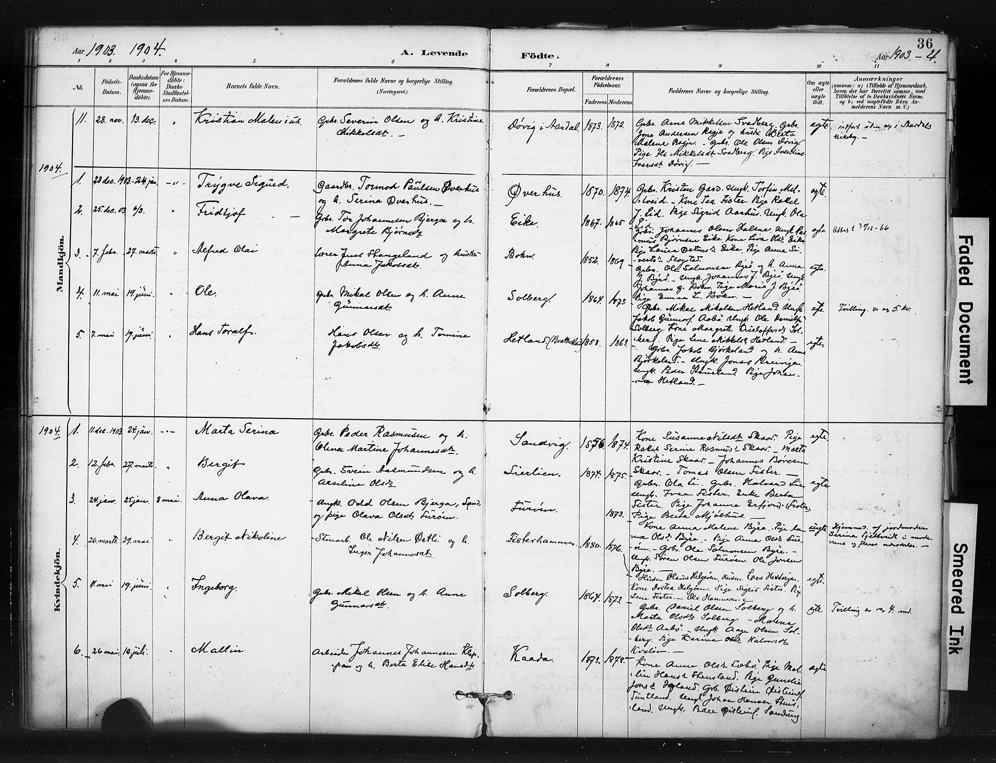 Hjelmeland sokneprestkontor, AV/SAST-A-101843/01/IV/L0015: Parish register (official) no. A 15, 1887-1910, p. 36