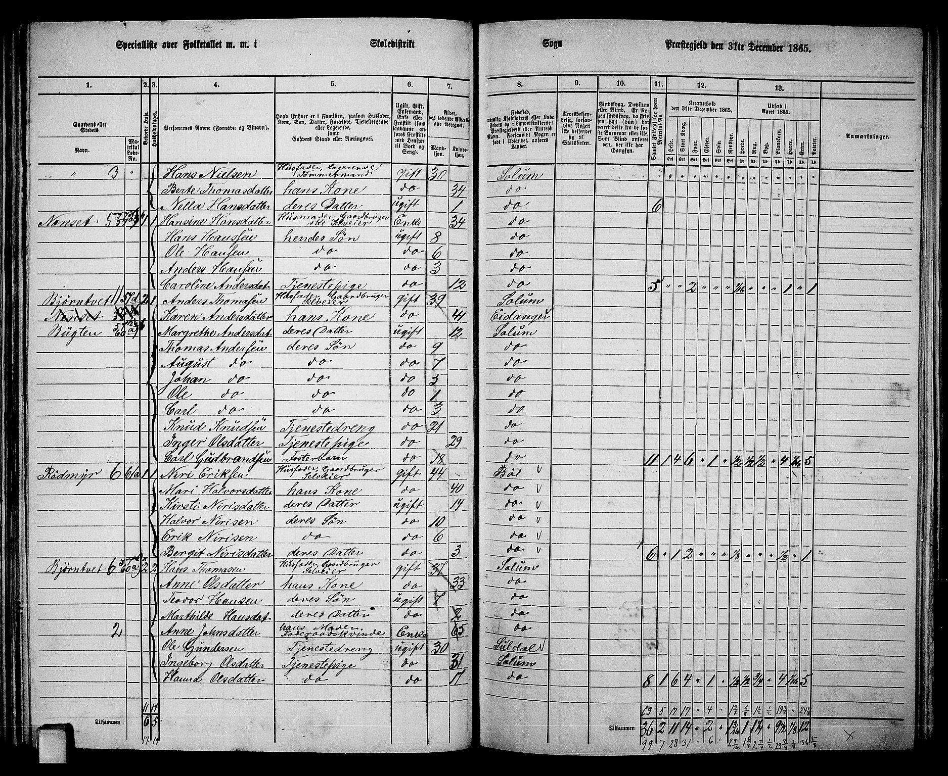 RA, 1865 census for Solum, 1865, p. 73