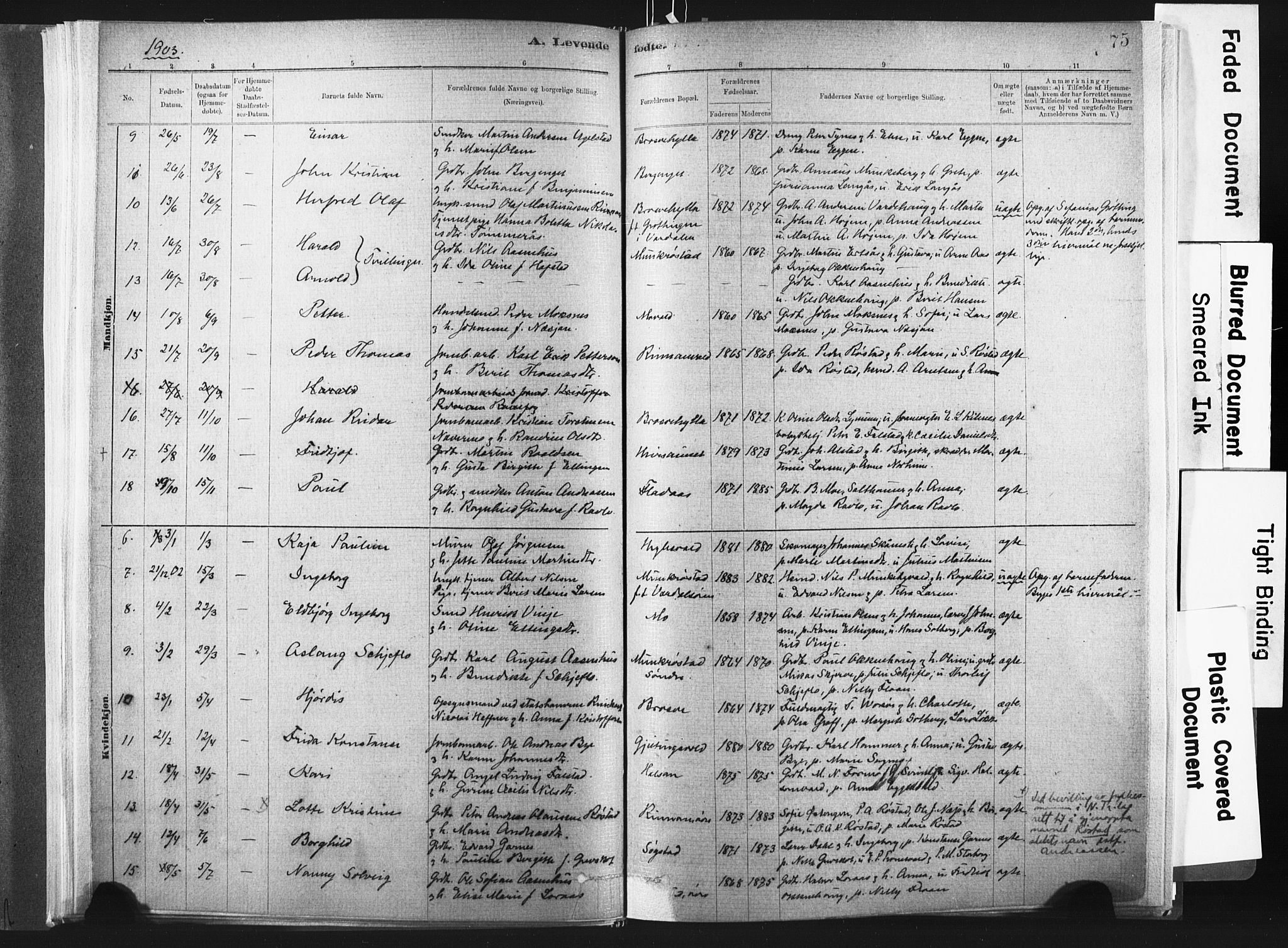 Ministerialprotokoller, klokkerbøker og fødselsregistre - Nord-Trøndelag, SAT/A-1458/721/L0207: Parish register (official) no. 721A02, 1880-1911, p. 75