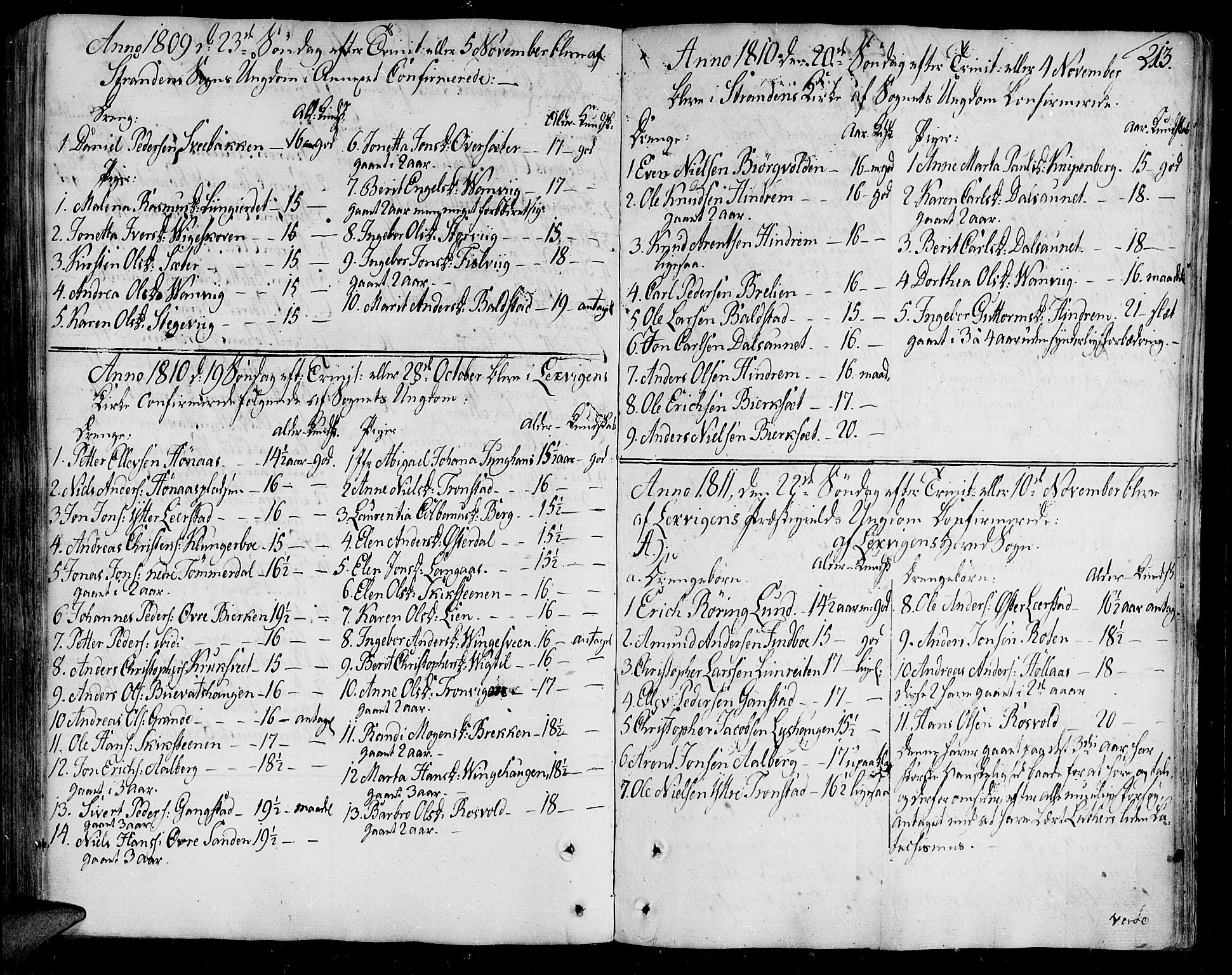 Ministerialprotokoller, klokkerbøker og fødselsregistre - Nord-Trøndelag, SAT/A-1458/701/L0004: Parish register (official) no. 701A04, 1783-1816, p. 213