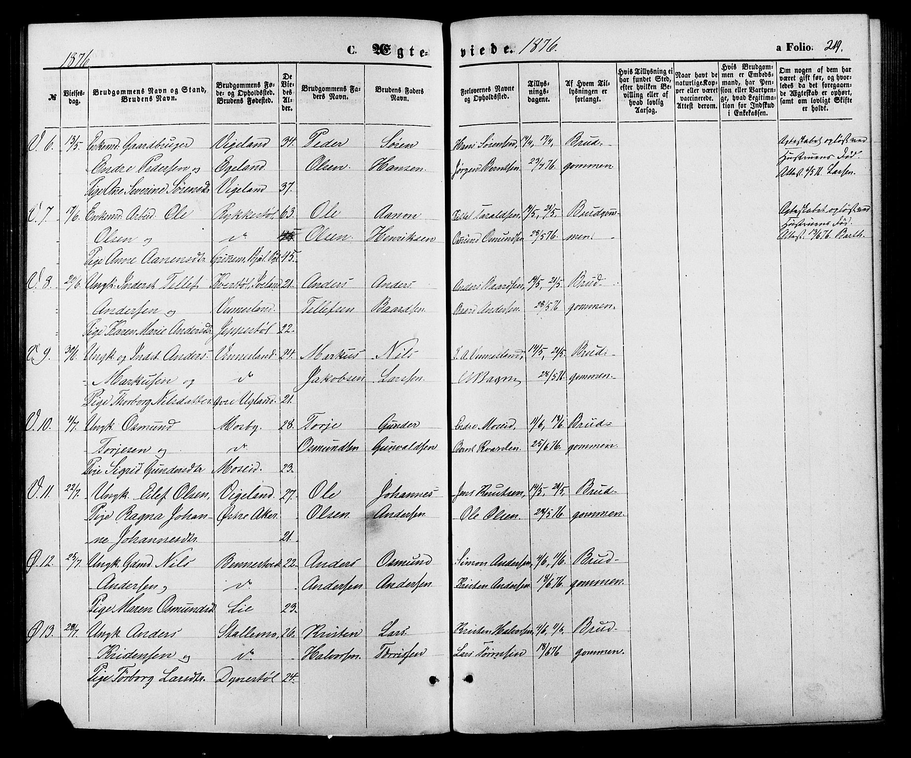 Vennesla sokneprestkontor, SAK/1111-0045/Fa/Fac/L0008: Parish register (official) no. A 8, 1874-1883, p. 219