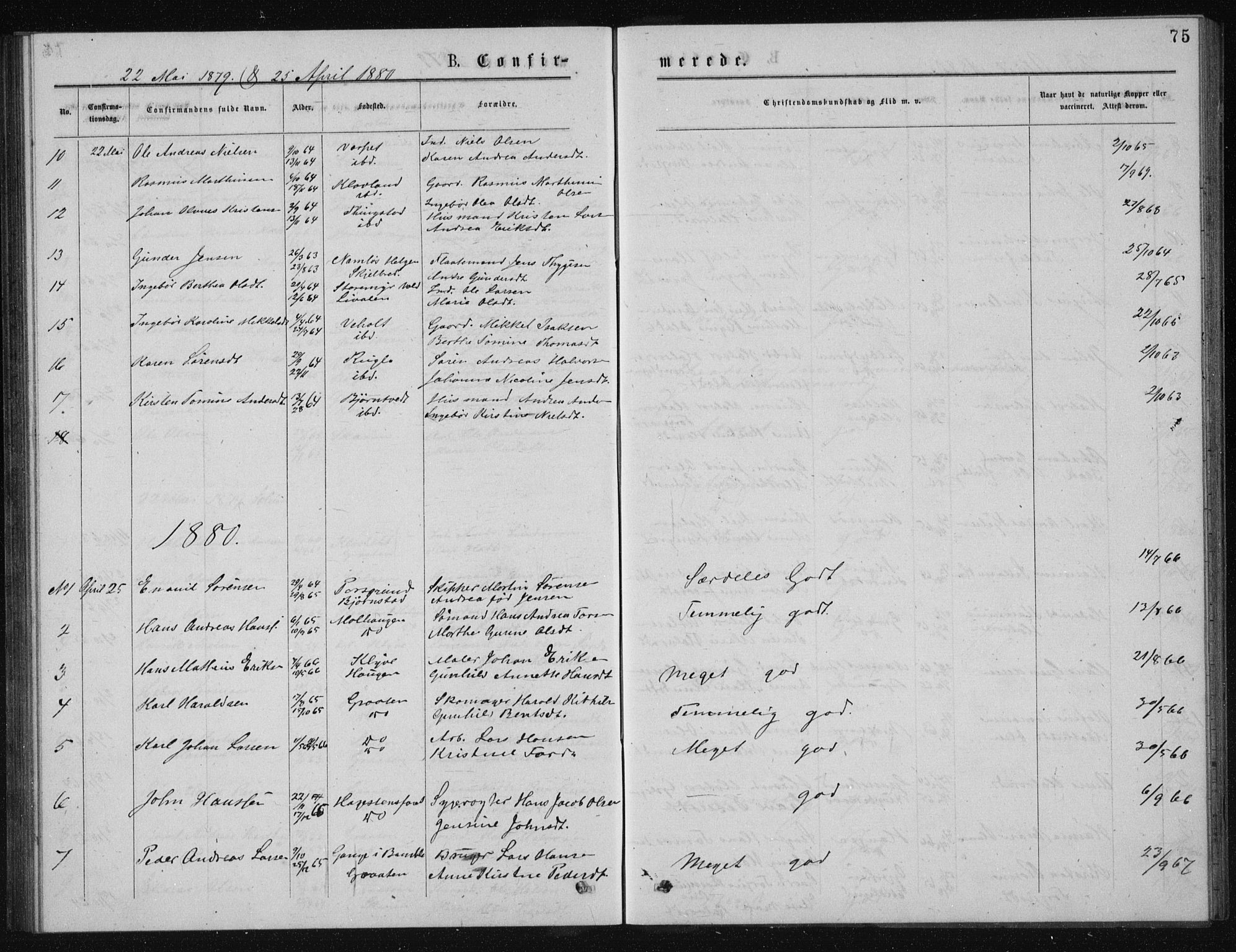 Solum kirkebøker, SAKO/A-306/G/Ga/L0005: Parish register (copy) no. I 5, 1877-1881, p. 75