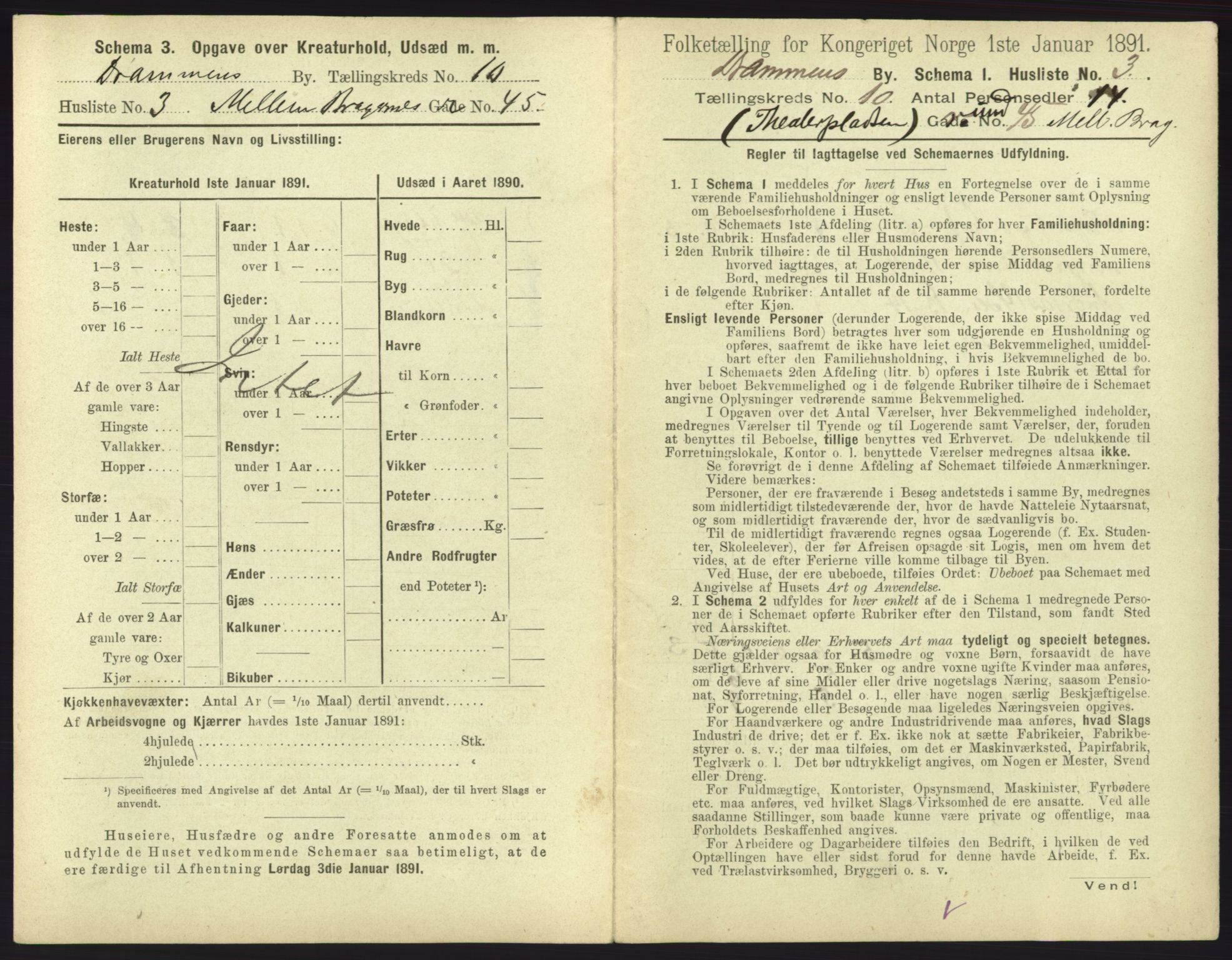 RA, 1891 census for 0602 Drammen, 1891, p. 831