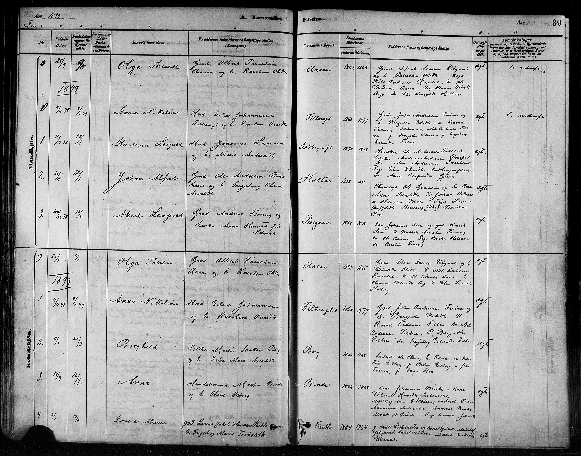 Ministerialprotokoller, klokkerbøker og fødselsregistre - Nord-Trøndelag, SAT/A-1458/746/L0448: Parish register (official) no. 746A07 /1, 1878-1900, p. 39