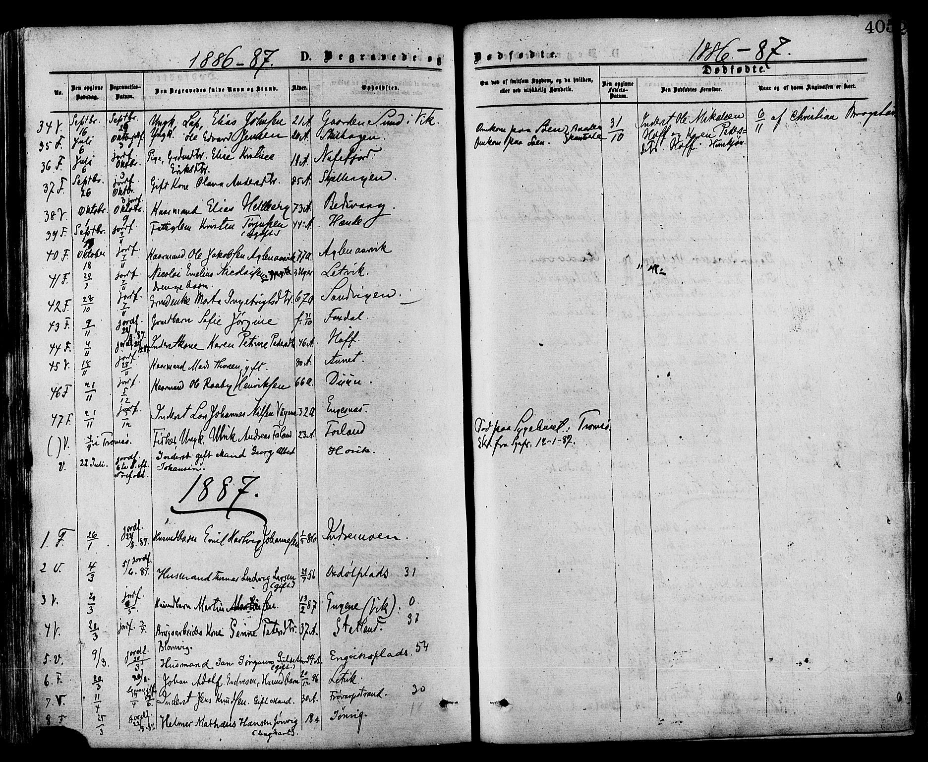 Ministerialprotokoller, klokkerbøker og fødselsregistre - Nord-Trøndelag, AV/SAT-A-1458/773/L0616: Parish register (official) no. 773A07, 1870-1887, p. 405