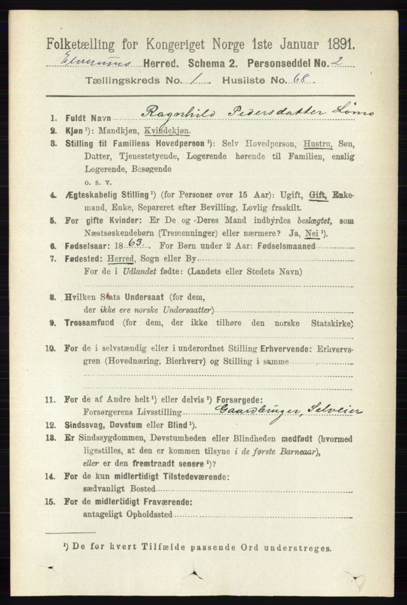 RA, 1891 census for 0427 Elverum, 1891, p. 591