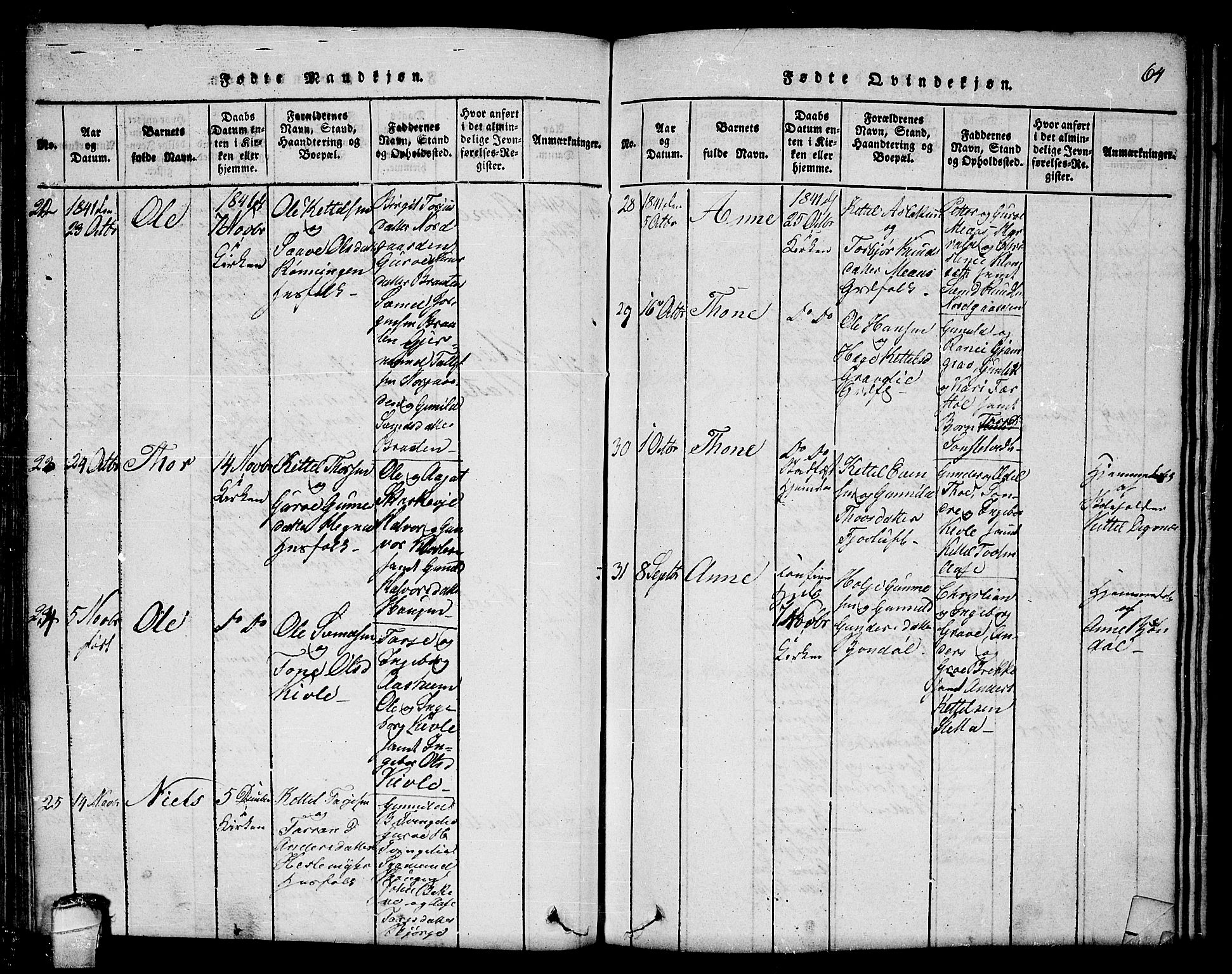 Seljord kirkebøker, SAKO/A-20/F/Fc/L0001: Parish register (official) no. III 1, 1815-1831, p. 64