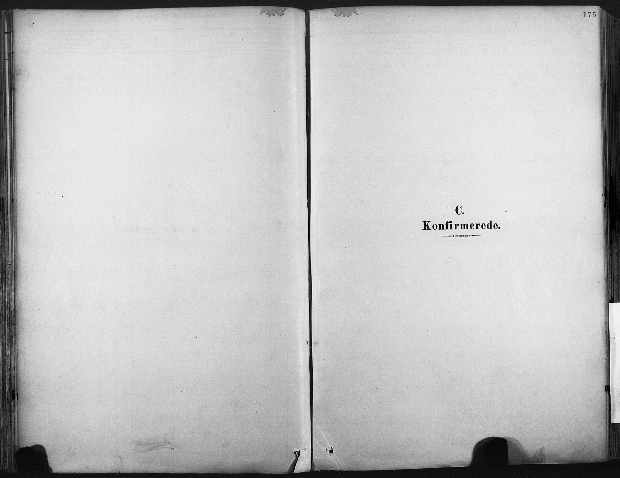 Porsgrunn kirkebøker , SAKO/A-104/F/Fa/L0008: Parish register (official) no. 8, 1878-1895, p. 175