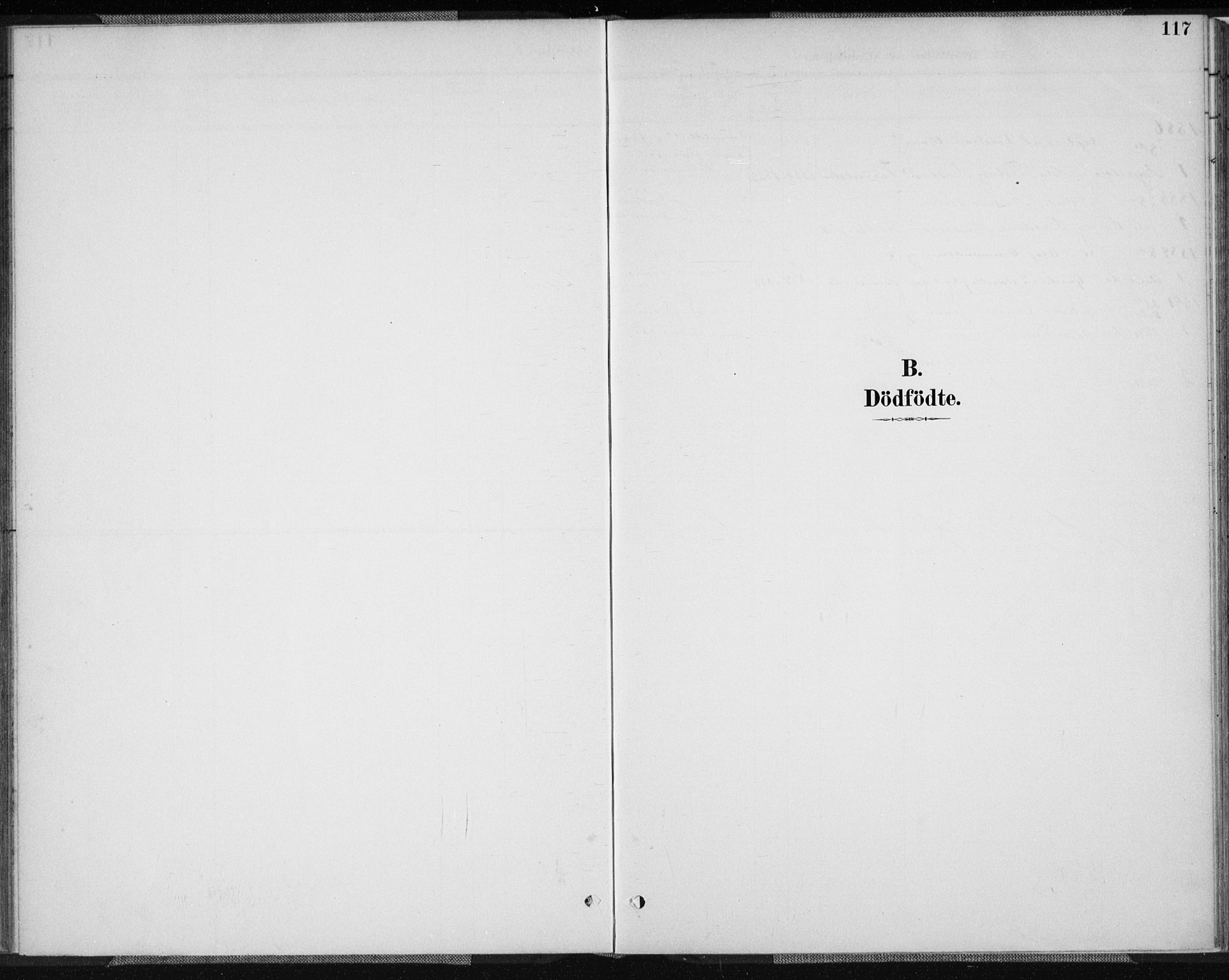 Vennesla sokneprestkontor, SAK/1111-0045/Fa/Fab/L0004: Parish register (official) no. A 4, 1884-1896, p. 117