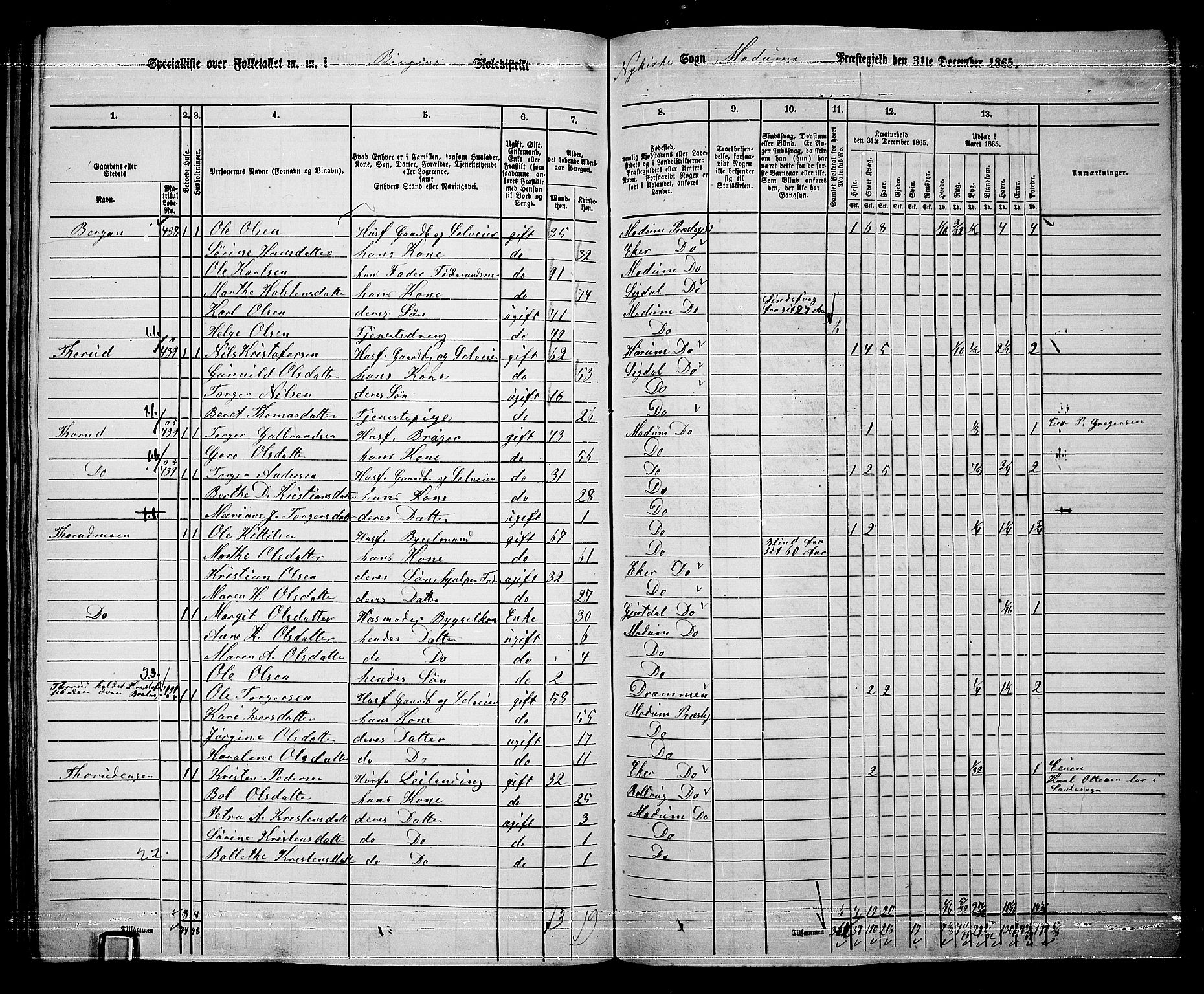 RA, 1865 census for Modum, 1865, p. 291