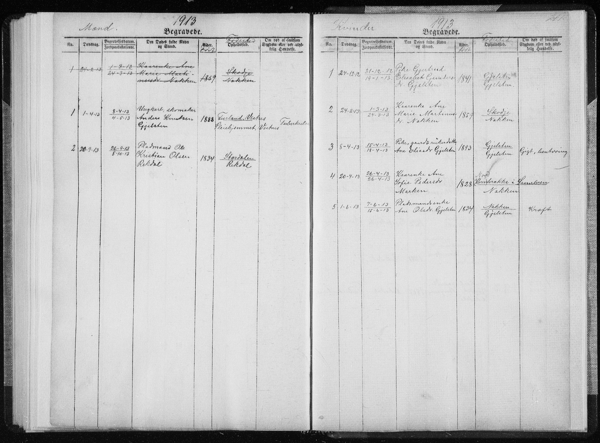 Ministerialprotokoller, klokkerbøker og fødselsregistre - Møre og Romsdal, SAT/A-1454/540/L0541: Parish register (copy) no. 540C01, 1867-1920, p. 261