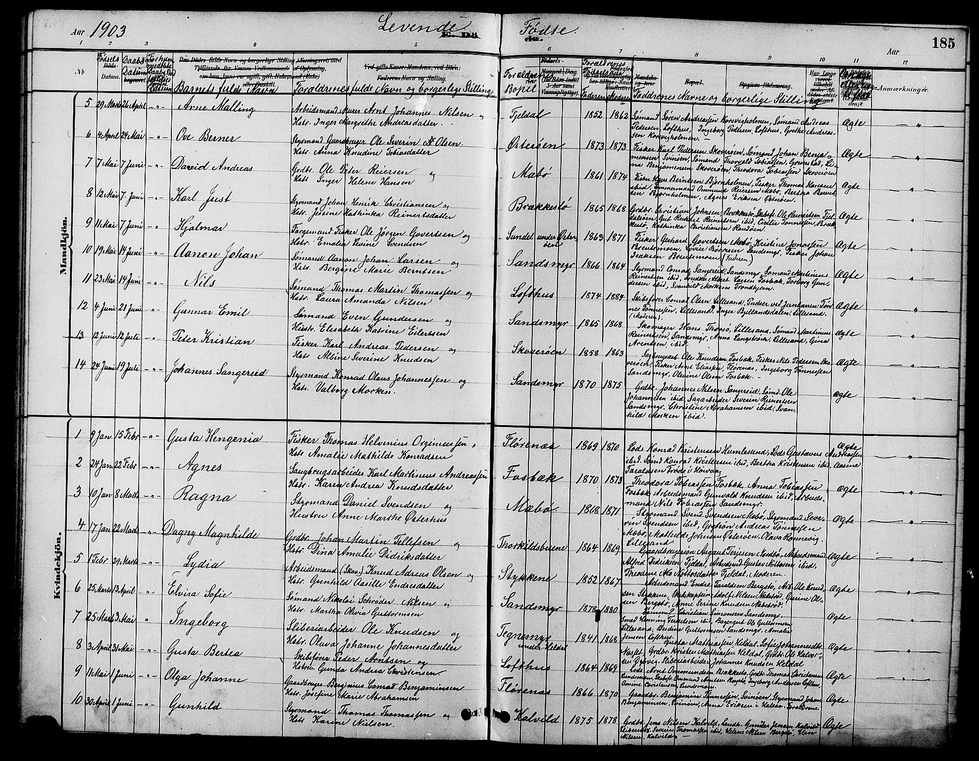 Vestre Moland sokneprestkontor, SAK/1111-0046/F/Fb/Fbb/L0006: Parish register (copy) no. B 6, 1884-1905, p. 185