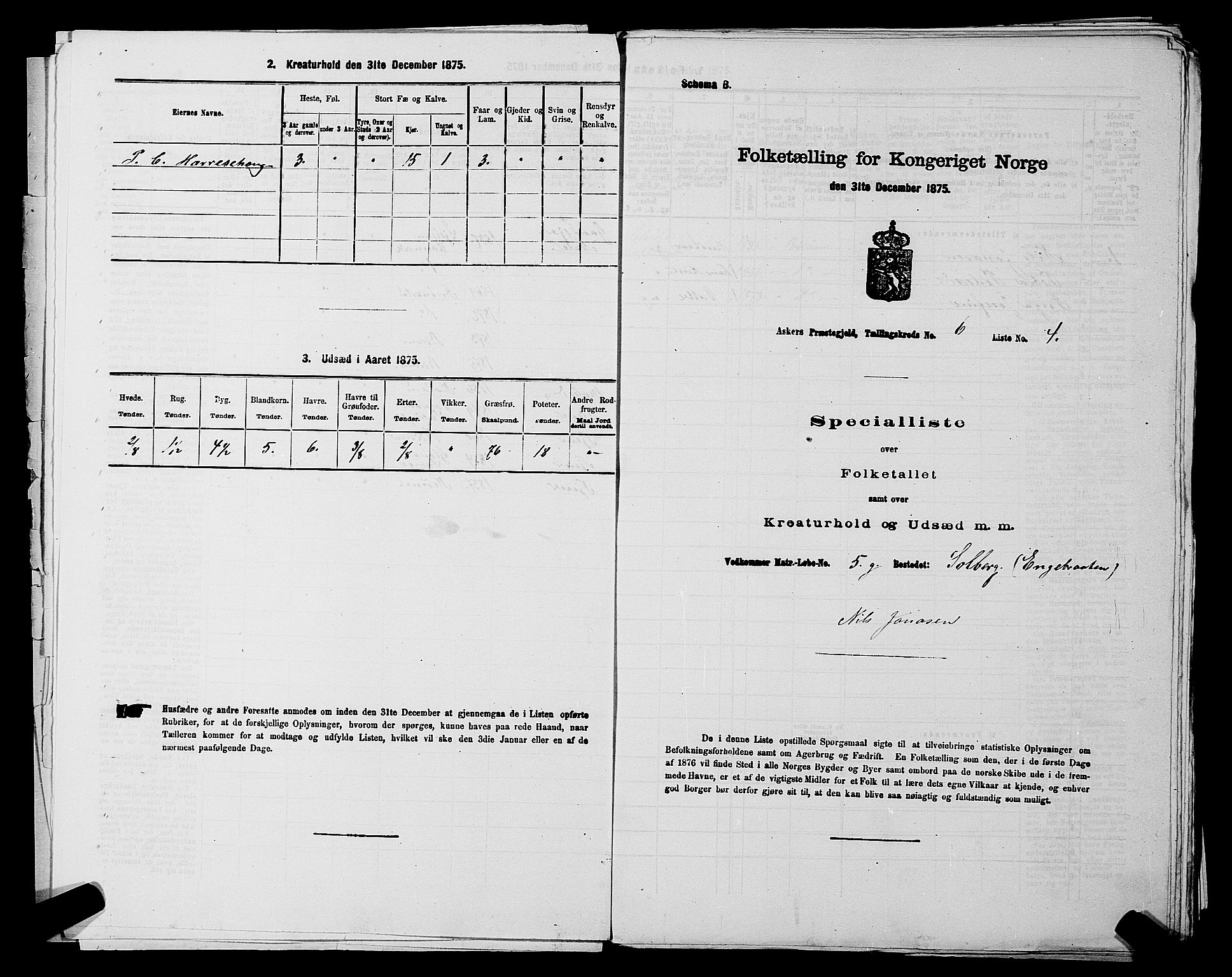 RA, 1875 census for 0220P Asker, 1875, p. 1161