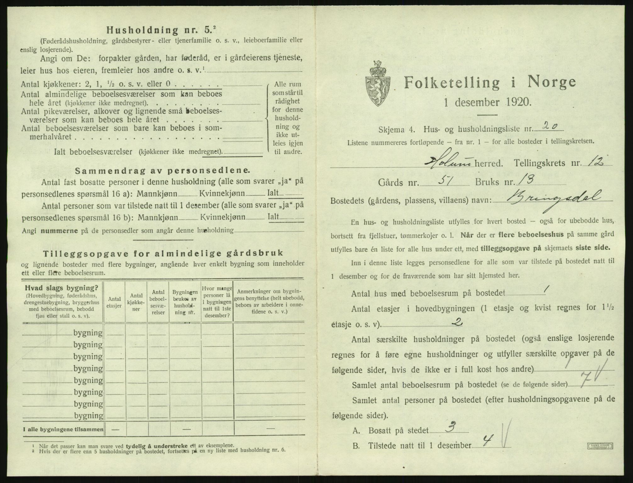 SAK, 1920 census for Holum, 1920, p. 703