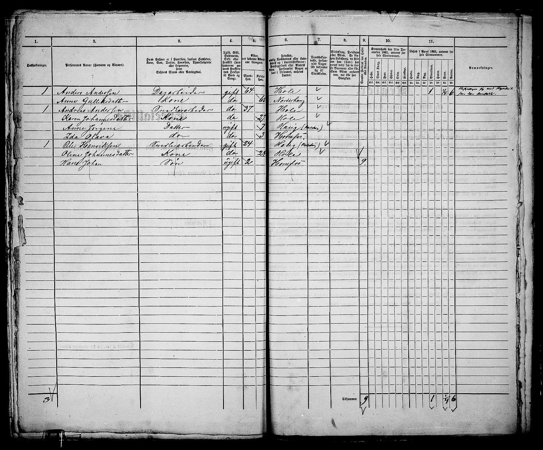 RA, 1865 census for Norderhov/Hønefoss, 1865, p. 315