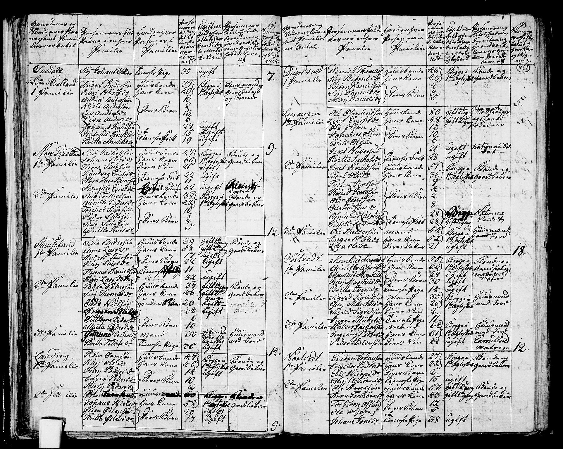 RA, 1801 census for 1139P Nedstrand, 1801, p. 460b-461a