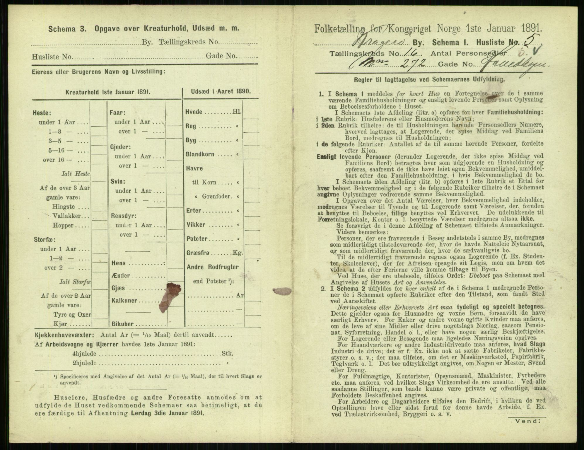 RA, 1891 census for 0801 Kragerø, 1891, p. 732