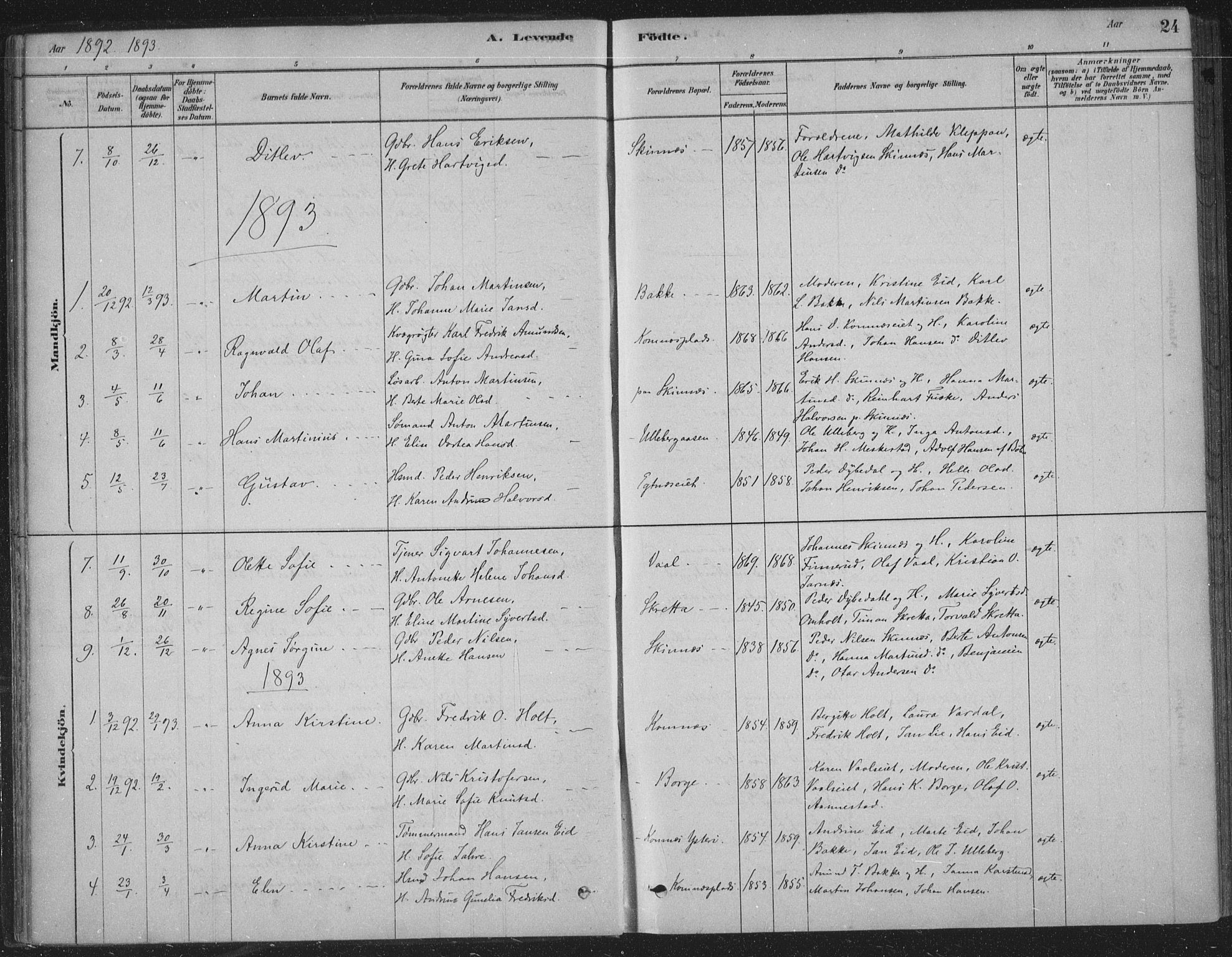 Sandsvær kirkebøker, AV/SAKO-A-244/F/Fe/L0001: Parish register (official) no. V 1, 1878-1936, p. 24