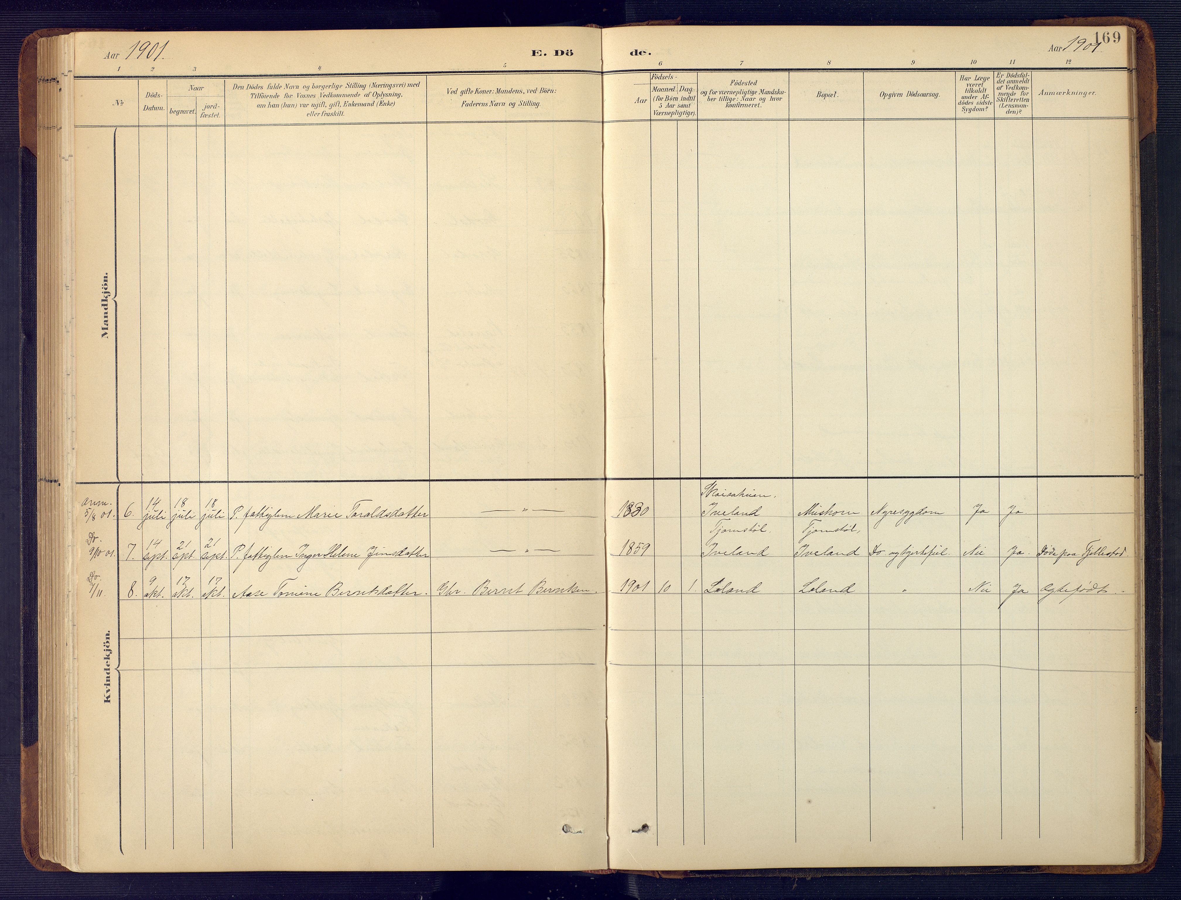 Vennesla sokneprestkontor, AV/SAK-1111-0045/Fb/Fbc/L0003: Parish register (copy) no. B 3, 1895-1946, p. 169