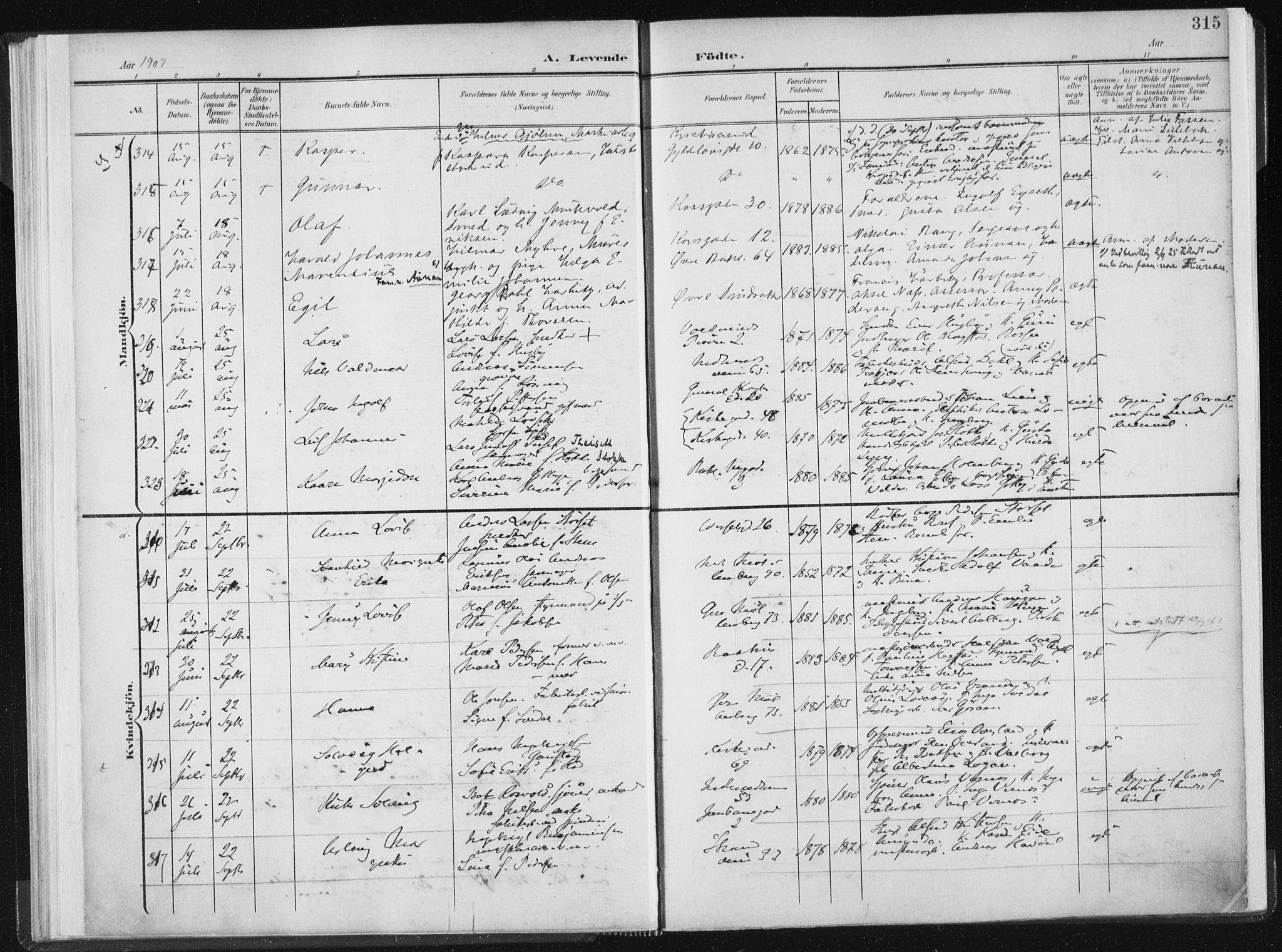 Ministerialprotokoller, klokkerbøker og fødselsregistre - Sør-Trøndelag, AV/SAT-A-1456/604/L0200: Parish register (official) no. 604A20II, 1901-1908, p. 315