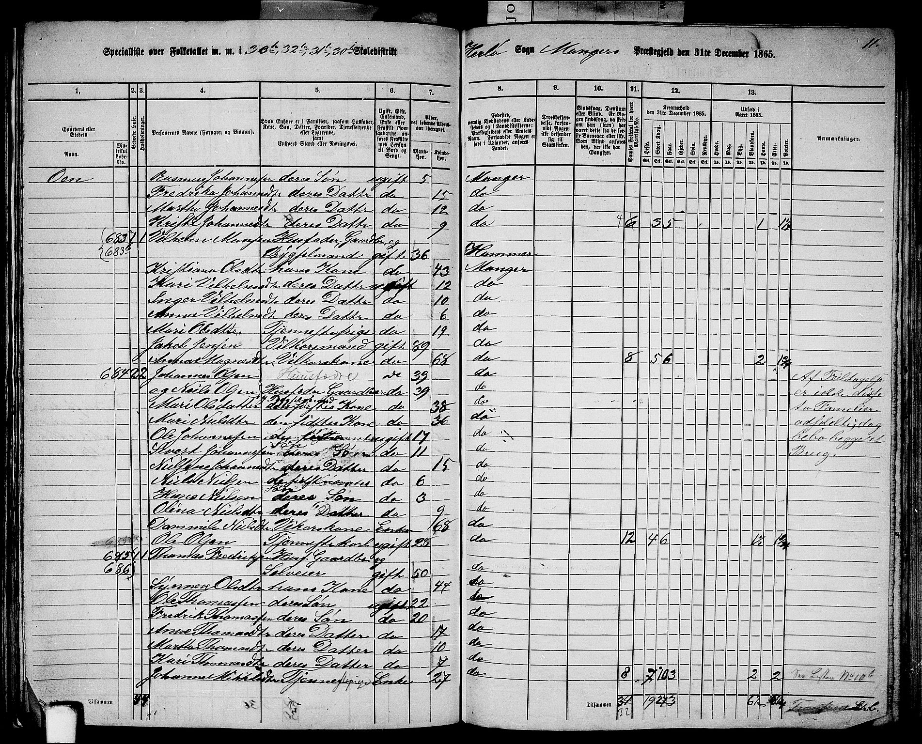 RA, 1865 census for Manger, 1865, p. 199