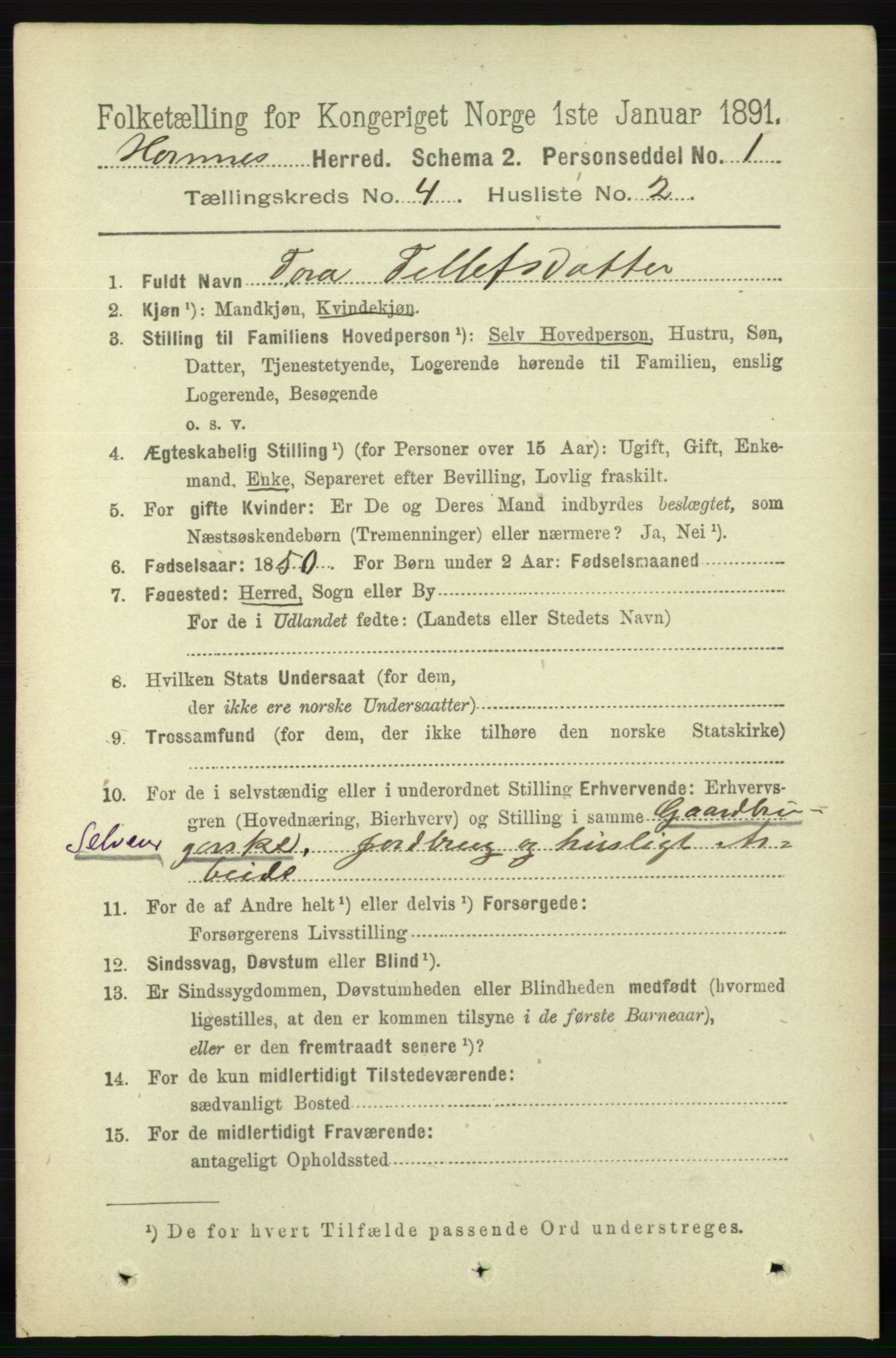 RA, 1891 census for 0936 Hornnes, 1891, p. 1058