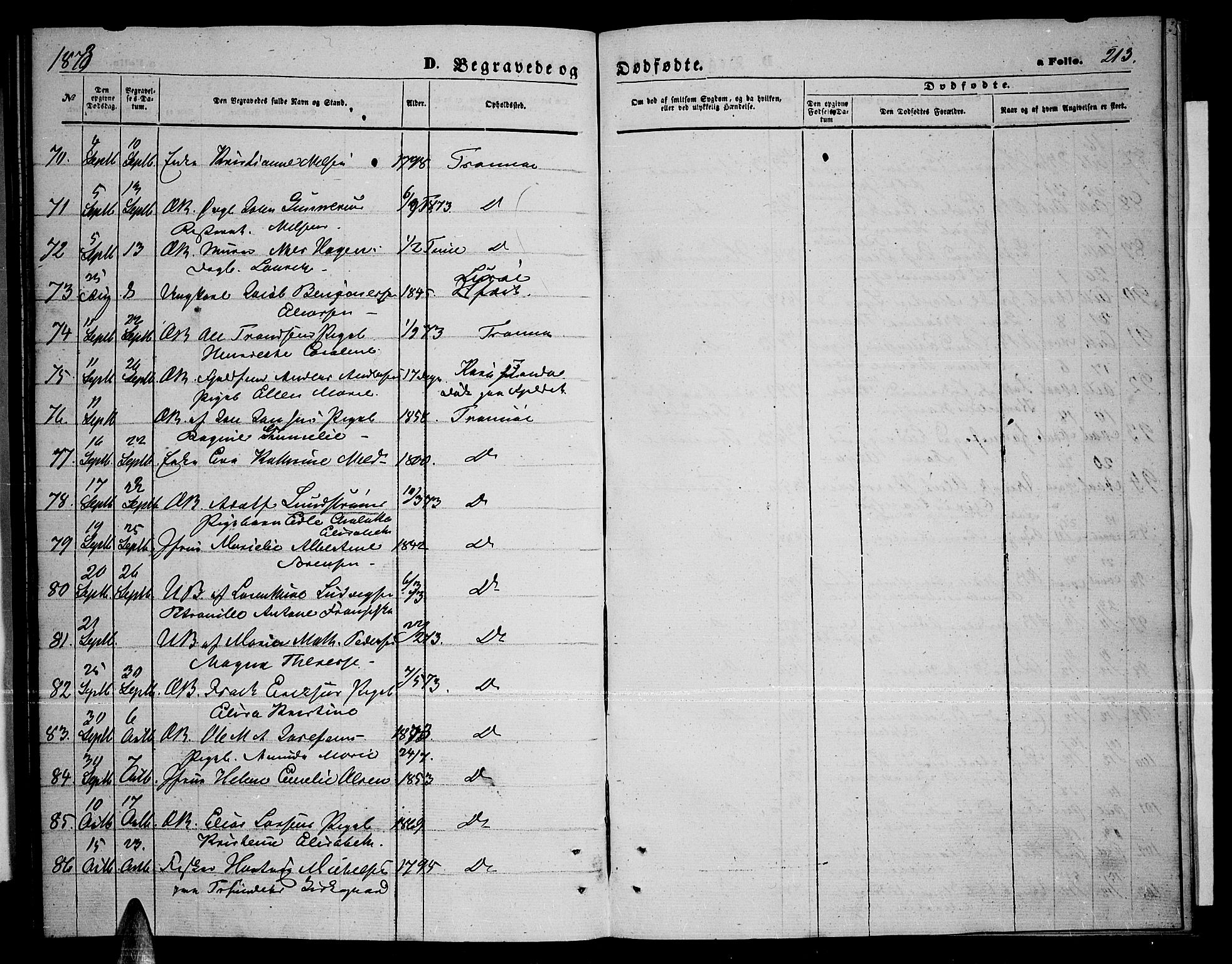 Tromsø sokneprestkontor/stiftsprosti/domprosti, AV/SATØ-S-1343/G/Gb/L0007klokker: Parish register (copy) no. 7, 1867-1875, p. 213