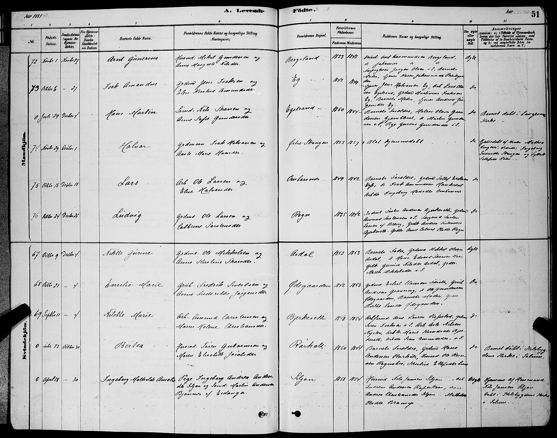 Bamble kirkebøker, SAKO/A-253/G/Ga/L0008: Parish register (copy) no. I 8, 1878-1888, p. 51