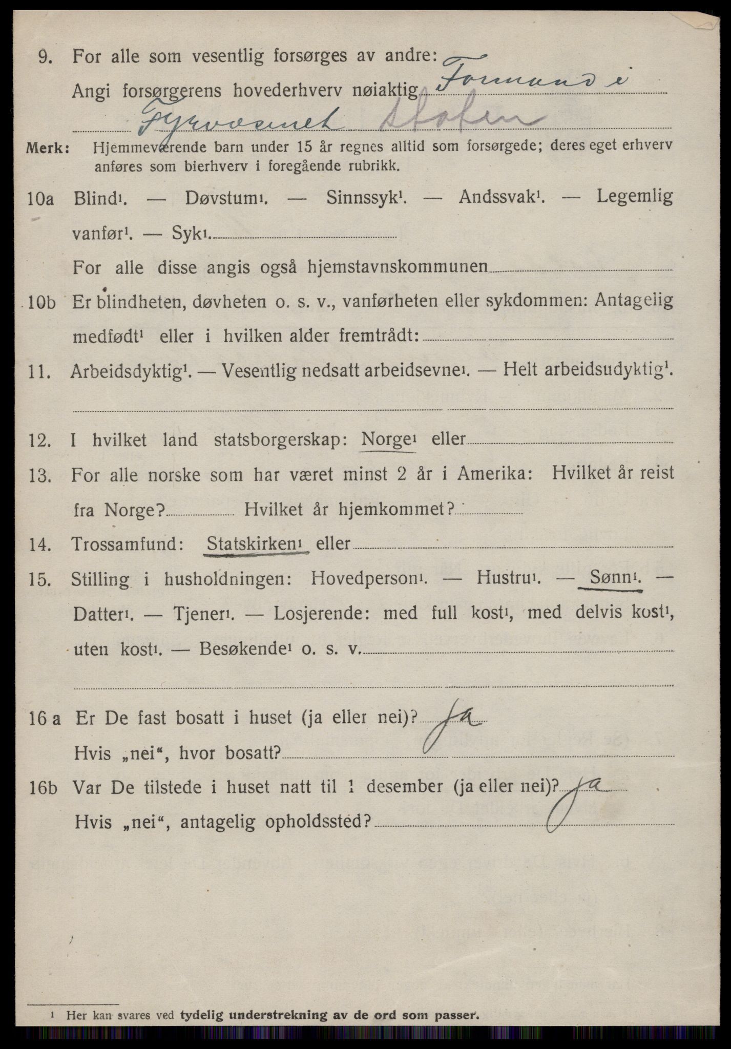 SAT, 1920 census for Volda, 1920, p. 13255