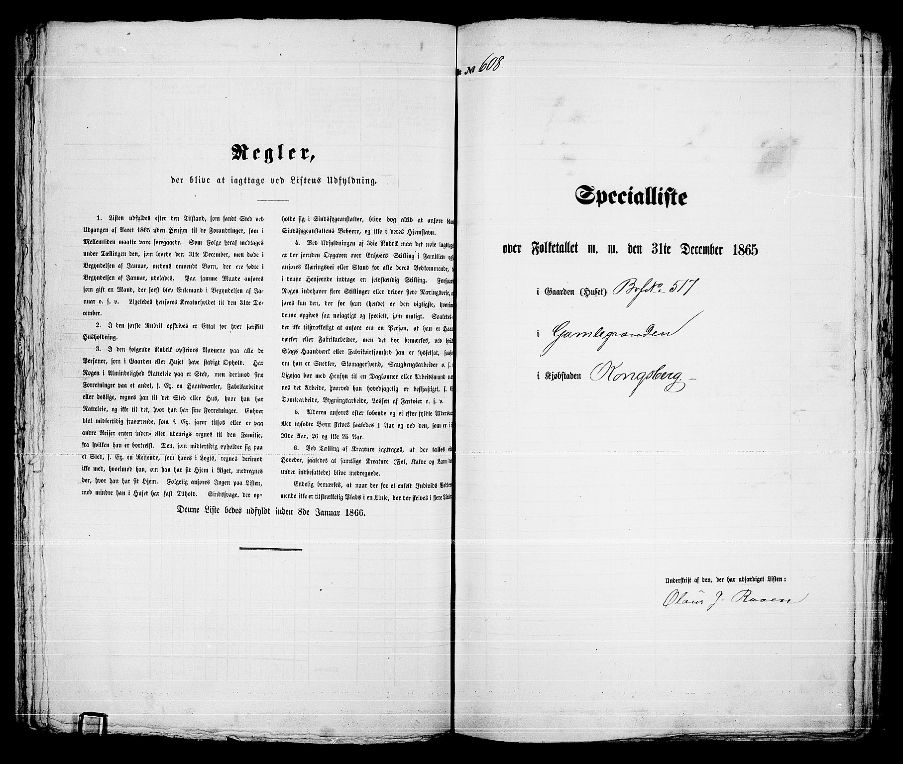 RA, 1865 census for Kongsberg/Kongsberg, 1865, p. 1238