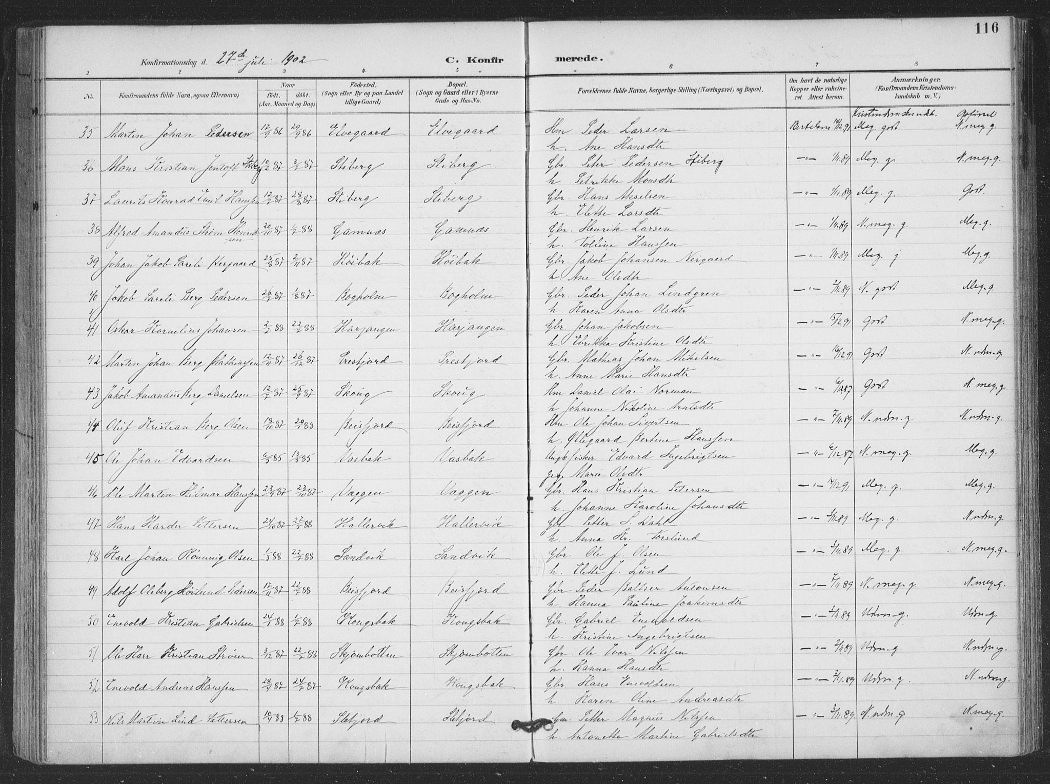 Ministerialprotokoller, klokkerbøker og fødselsregistre - Nordland, AV/SAT-A-1459/866/L0939: Parish register (official) no. 866A02, 1894-1906, p. 116