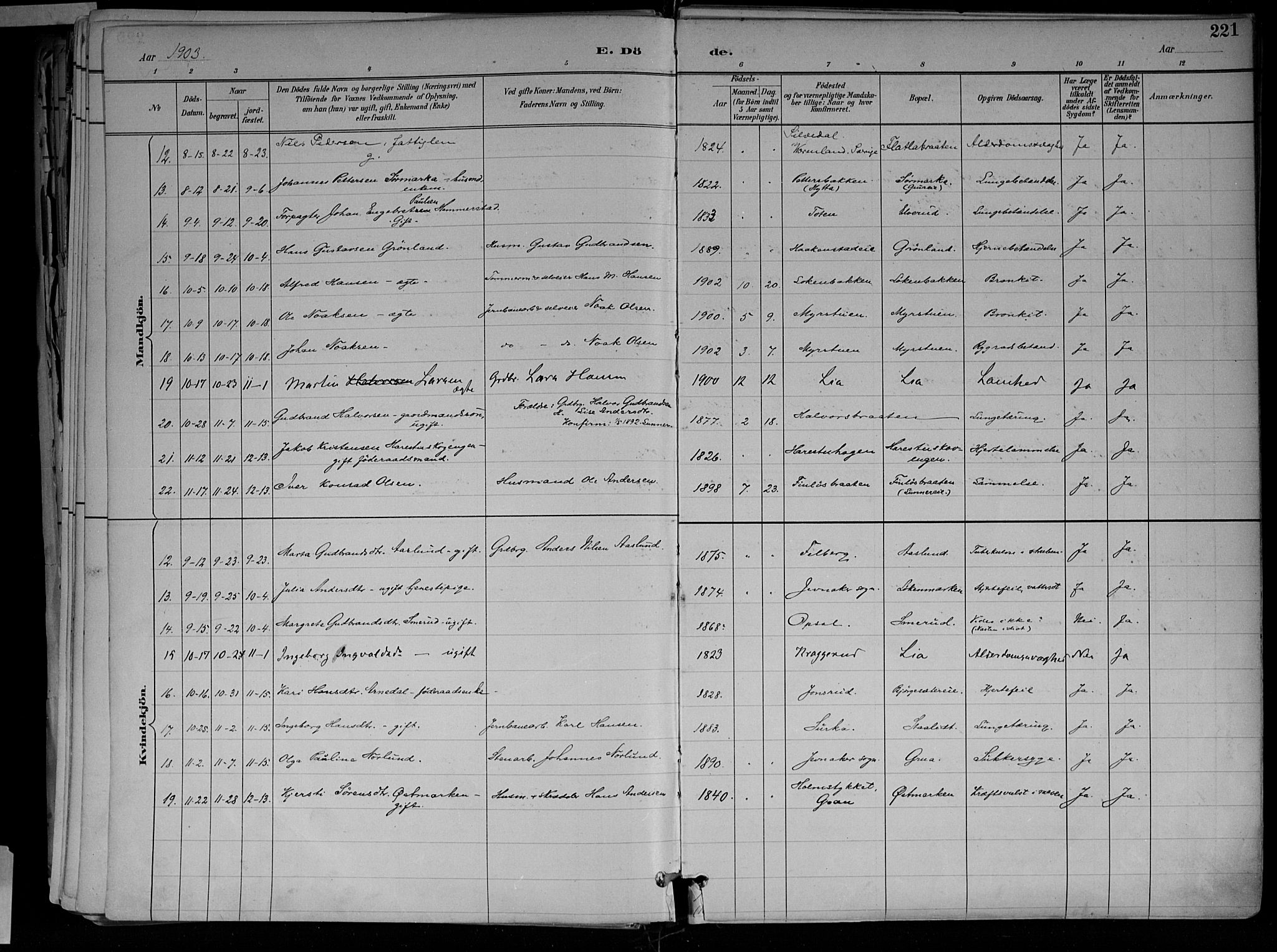 Jevnaker prestekontor, SAH/PREST-116/H/Ha/Haa/L0010: Parish register (official) no. 10, 1891-1906, p. 221