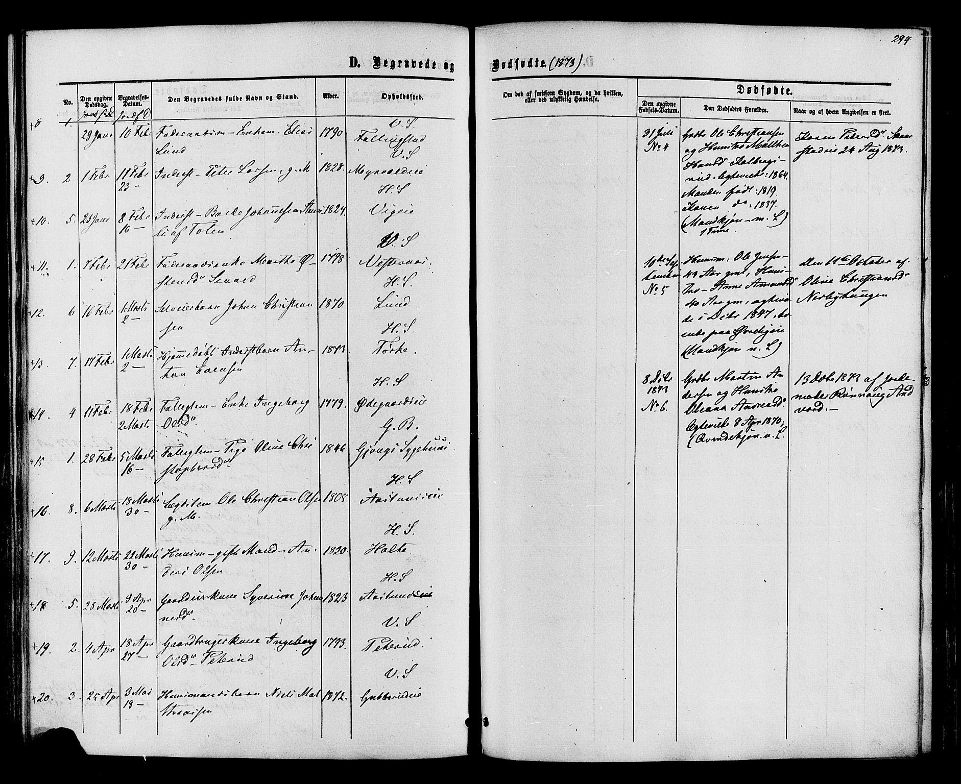 Vardal prestekontor, SAH/PREST-100/H/Ha/Haa/L0007: Parish register (official) no. 7, 1867-1878, p. 294